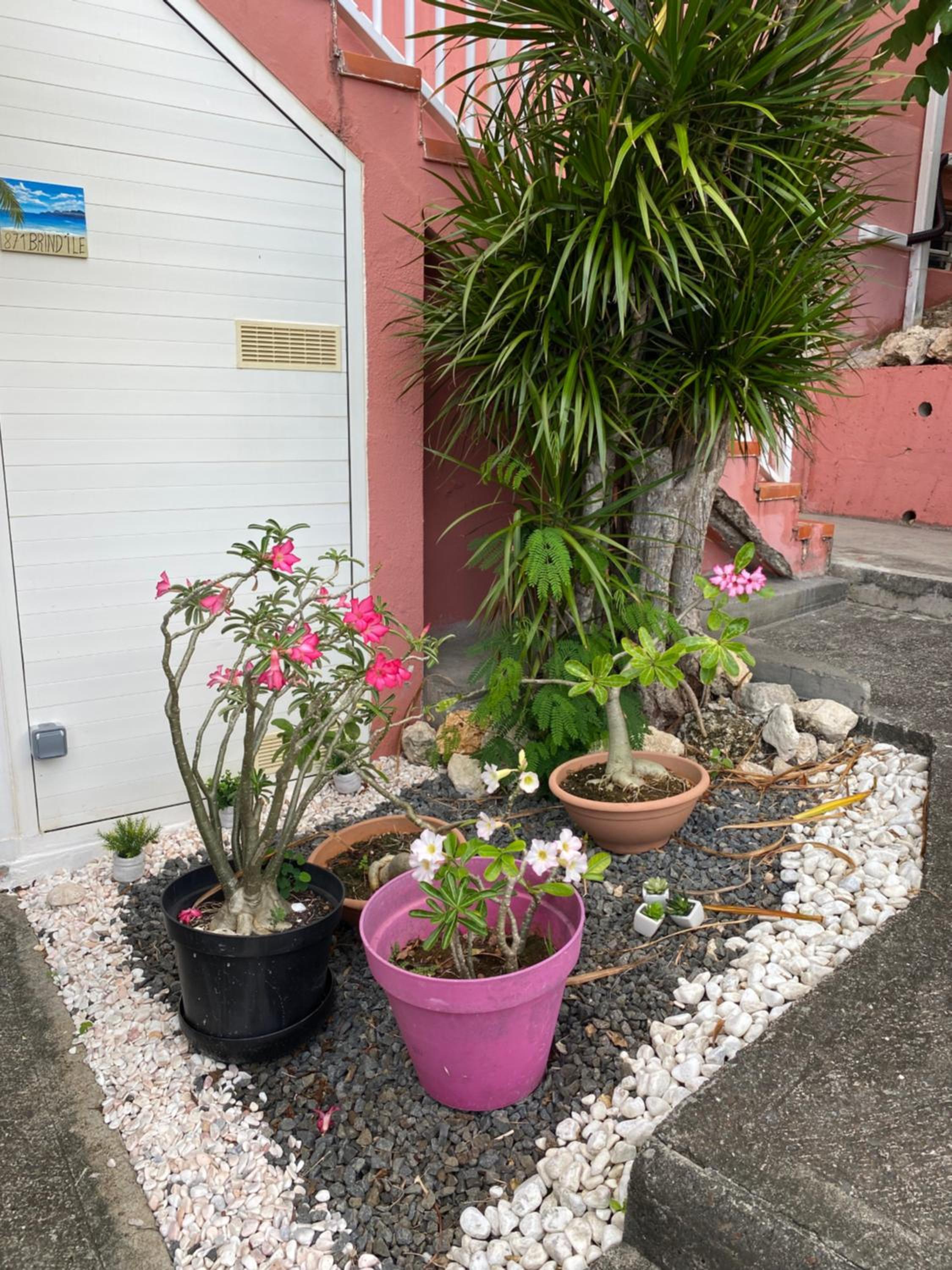 Photo 43