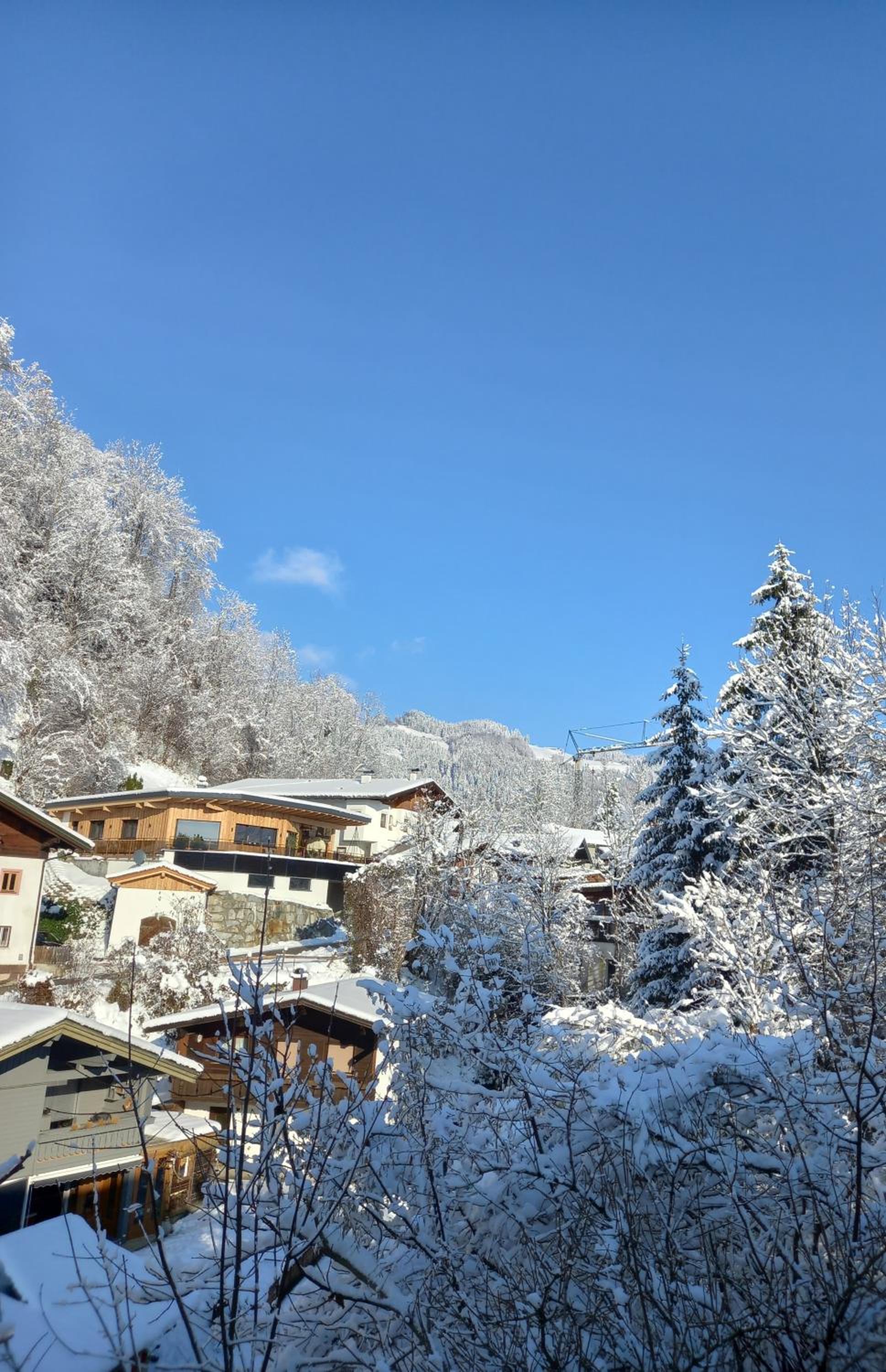 Bio-Chalet Haus Wagner