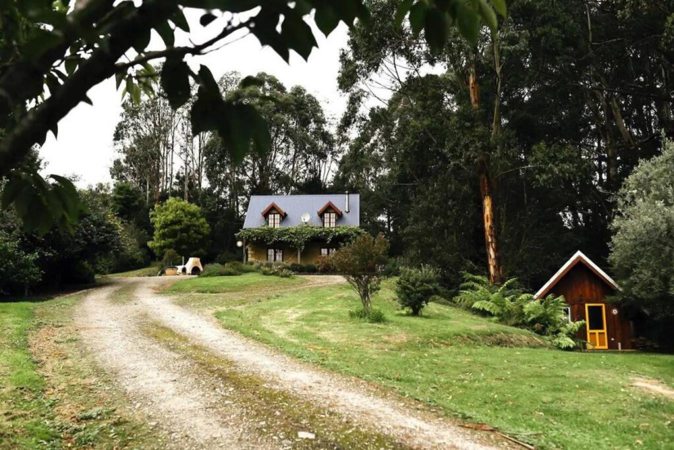 Hideaway Cottage - Secluded Retreat - Pet Friendly