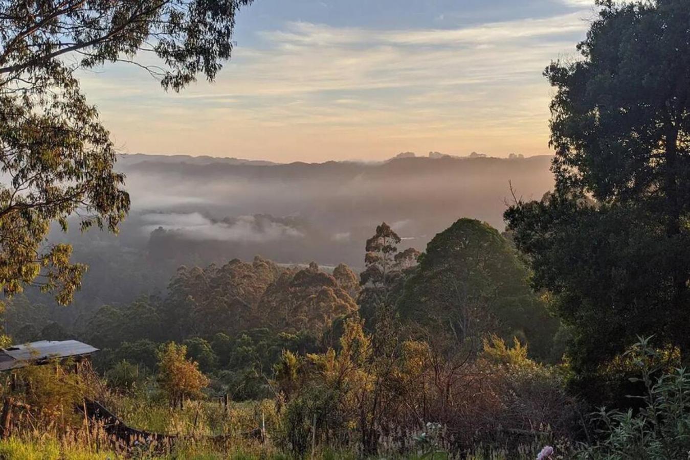 Hideaway Cottage - Secluded Retreat - Pet Friendly