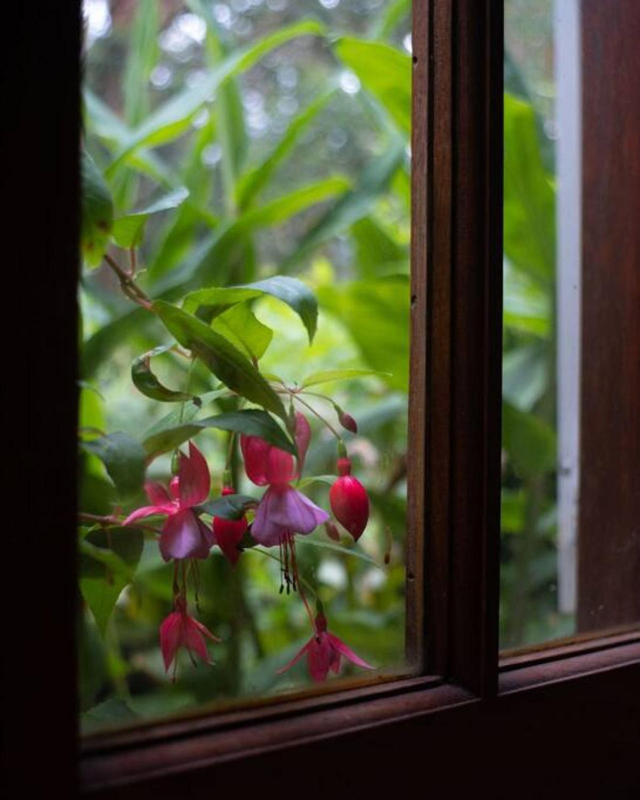 Hideaway Cottage - Secluded Retreat - Pet Friendly