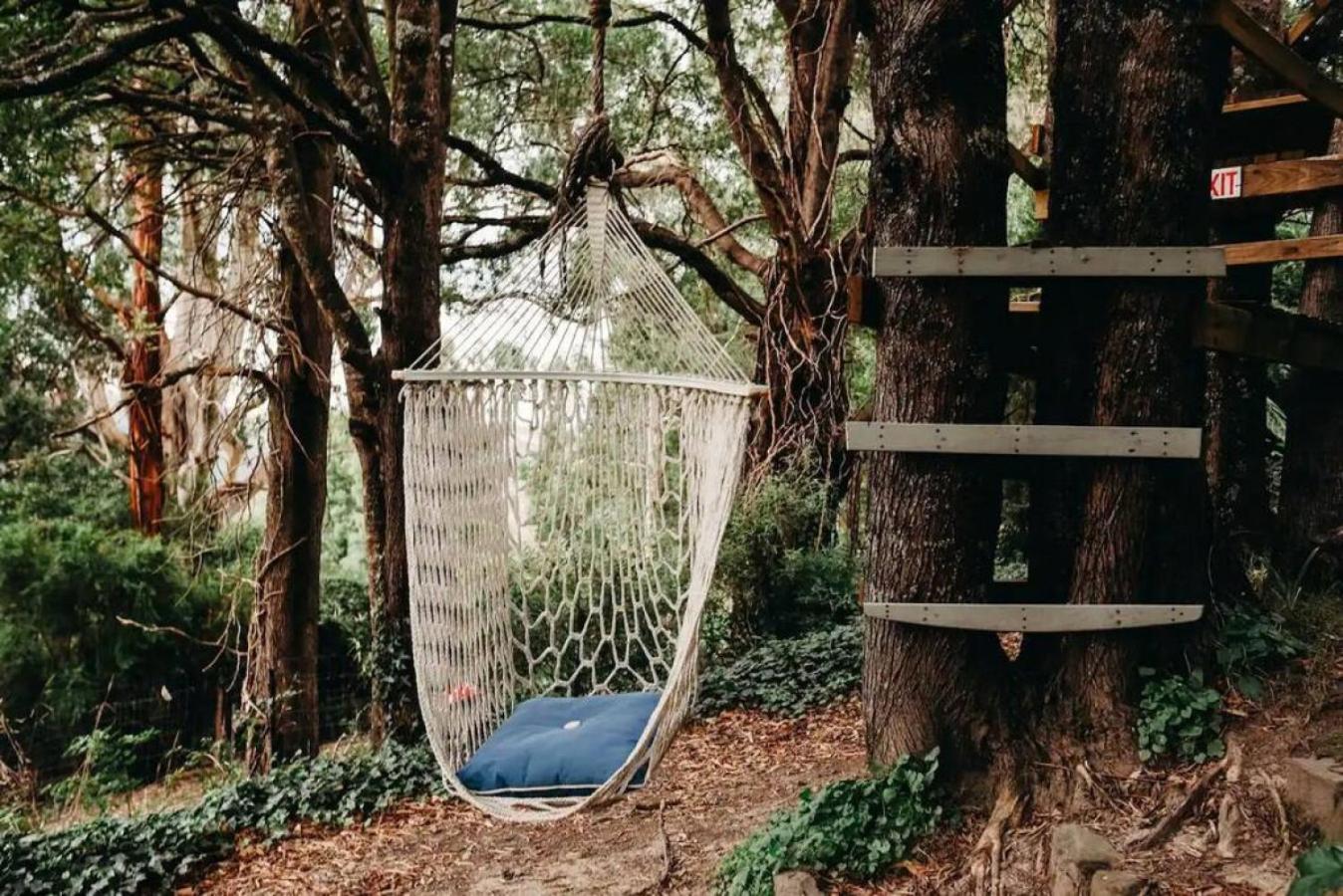 Hideaway Cottage - Secluded Retreat - Pet Friendly