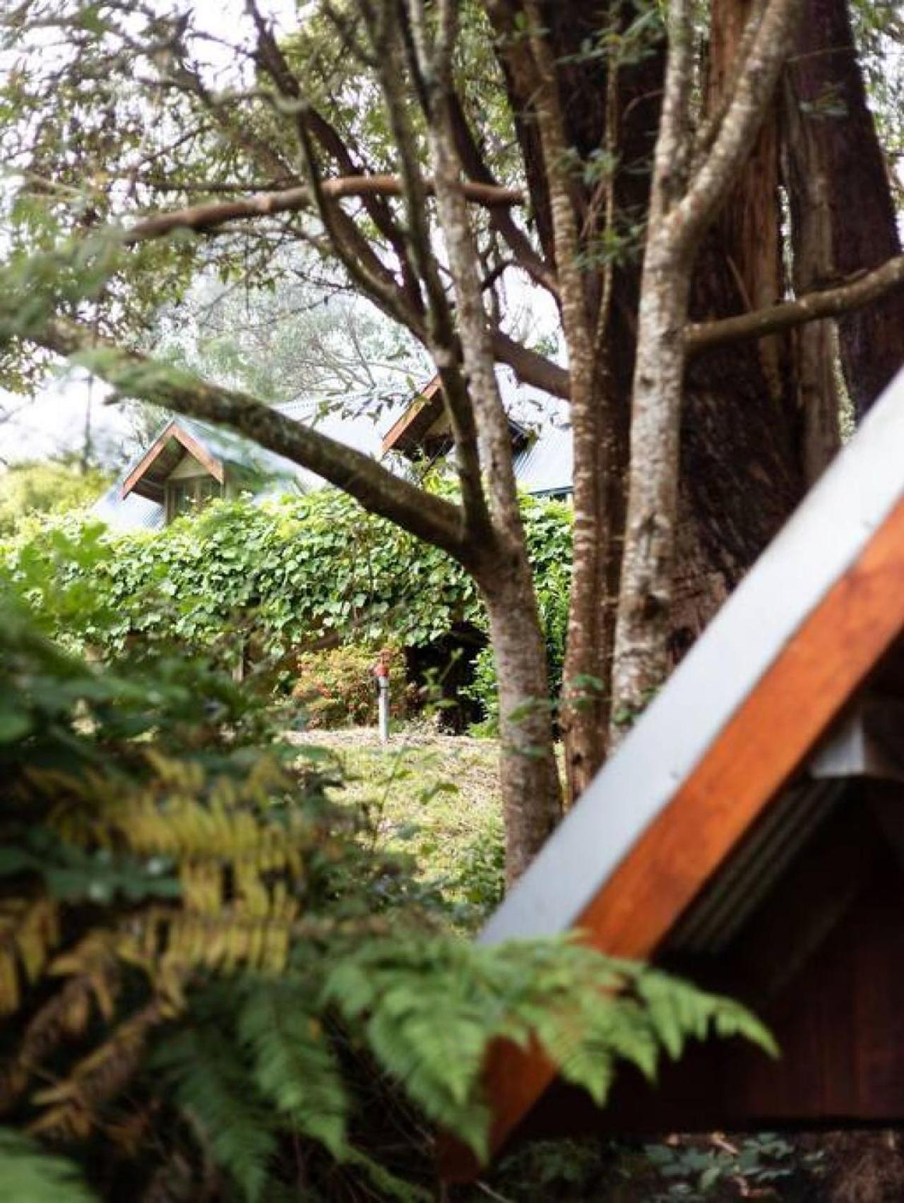Hideaway Cottage - Secluded Retreat - Pet Friendly