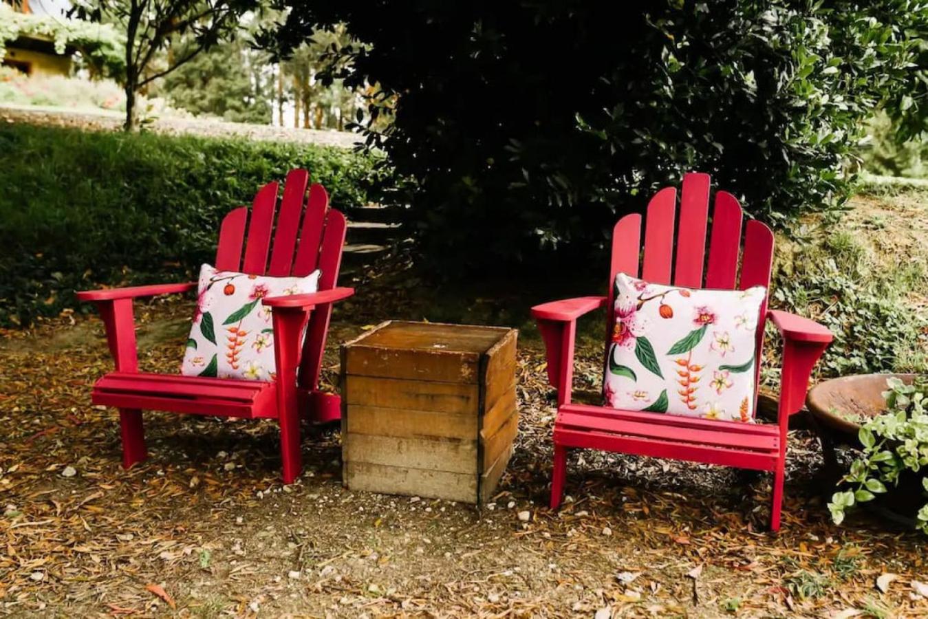 Hideaway Cottage - Secluded Retreat - Pet Friendly