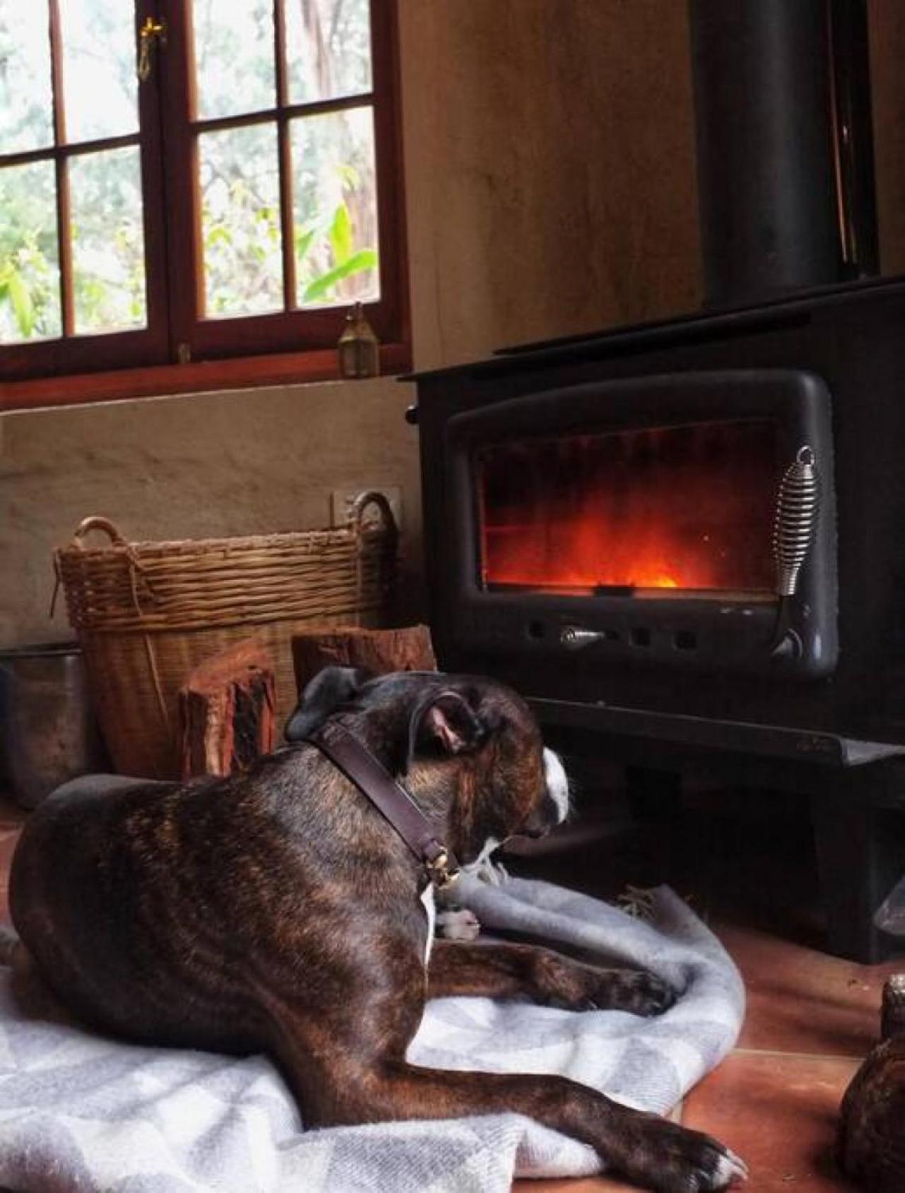 Hideaway Cottage - Secluded Retreat - Pet Friendly