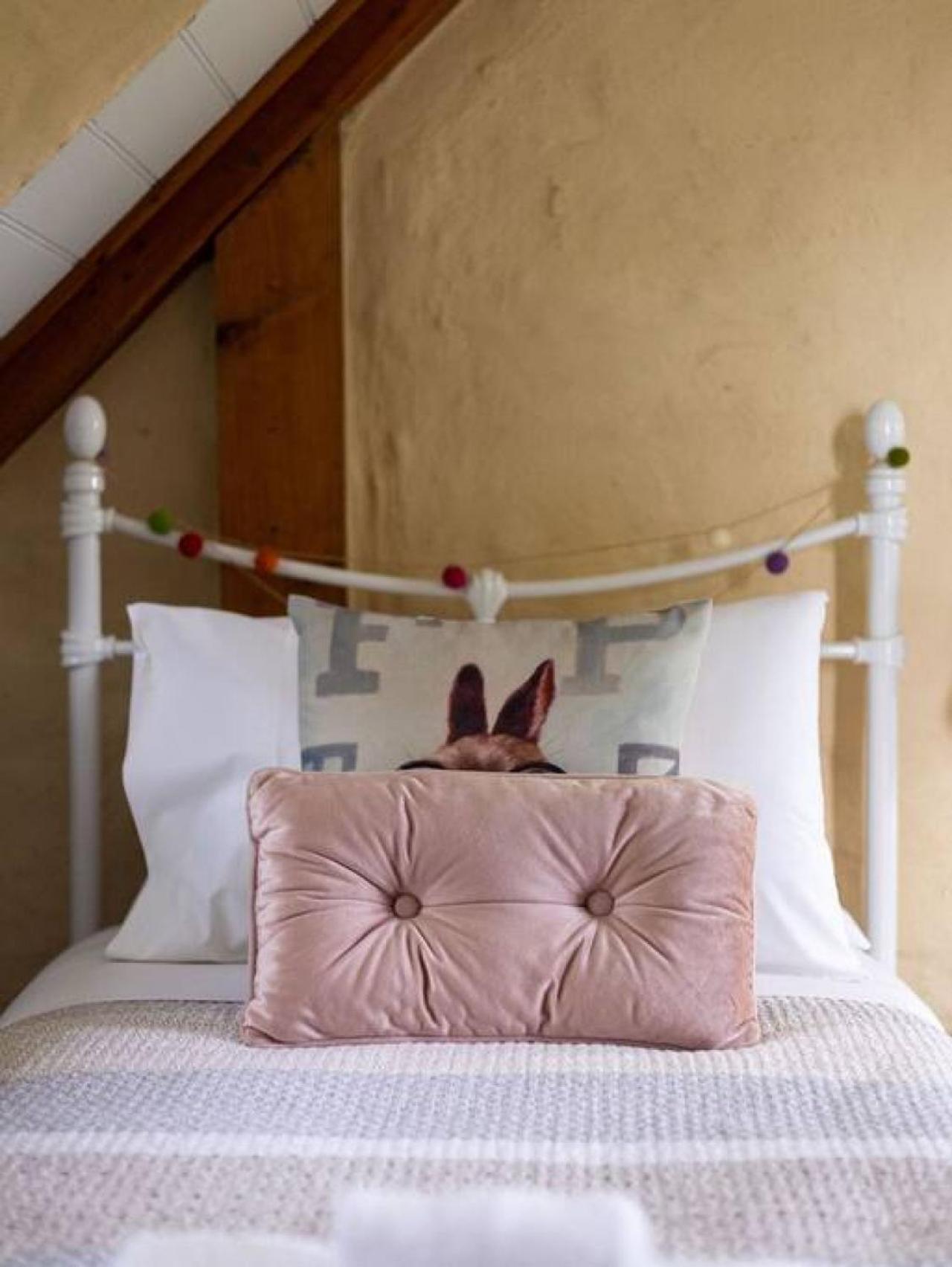 Hideaway Cottage - Secluded Retreat - Pet Friendly