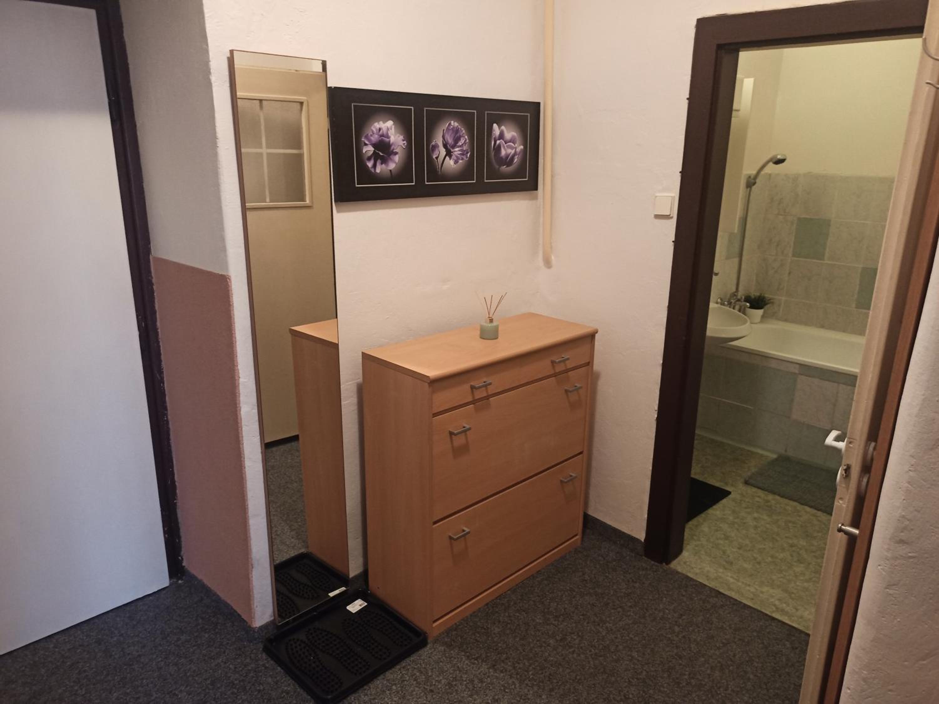 Apartmán na Horské
