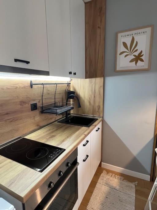 Cozy Boutique Apartment in Plovdiv