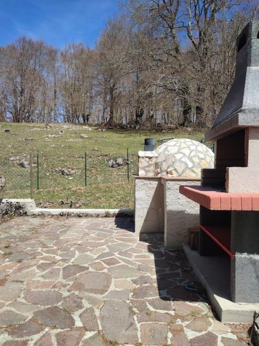Photo 21