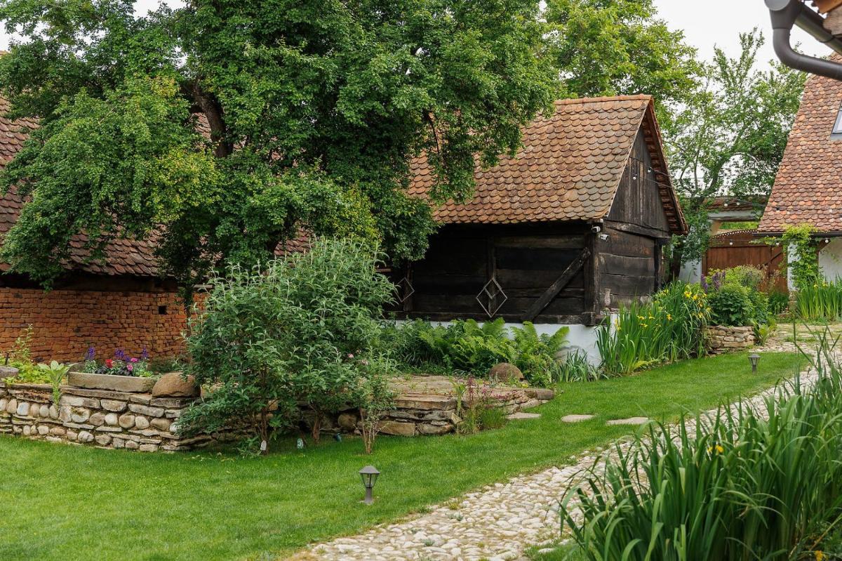 Photo 42