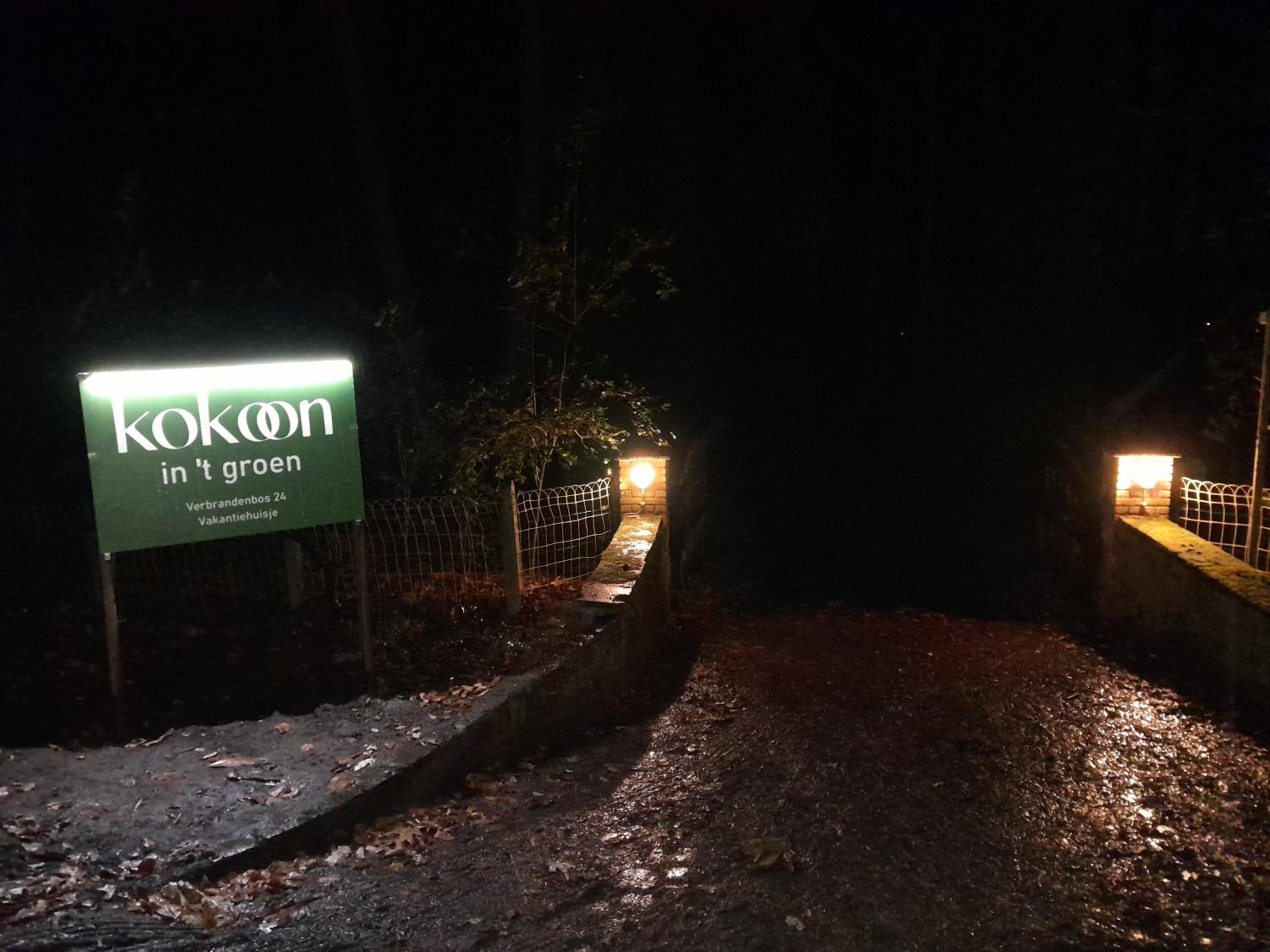 Kokoon in 't groen