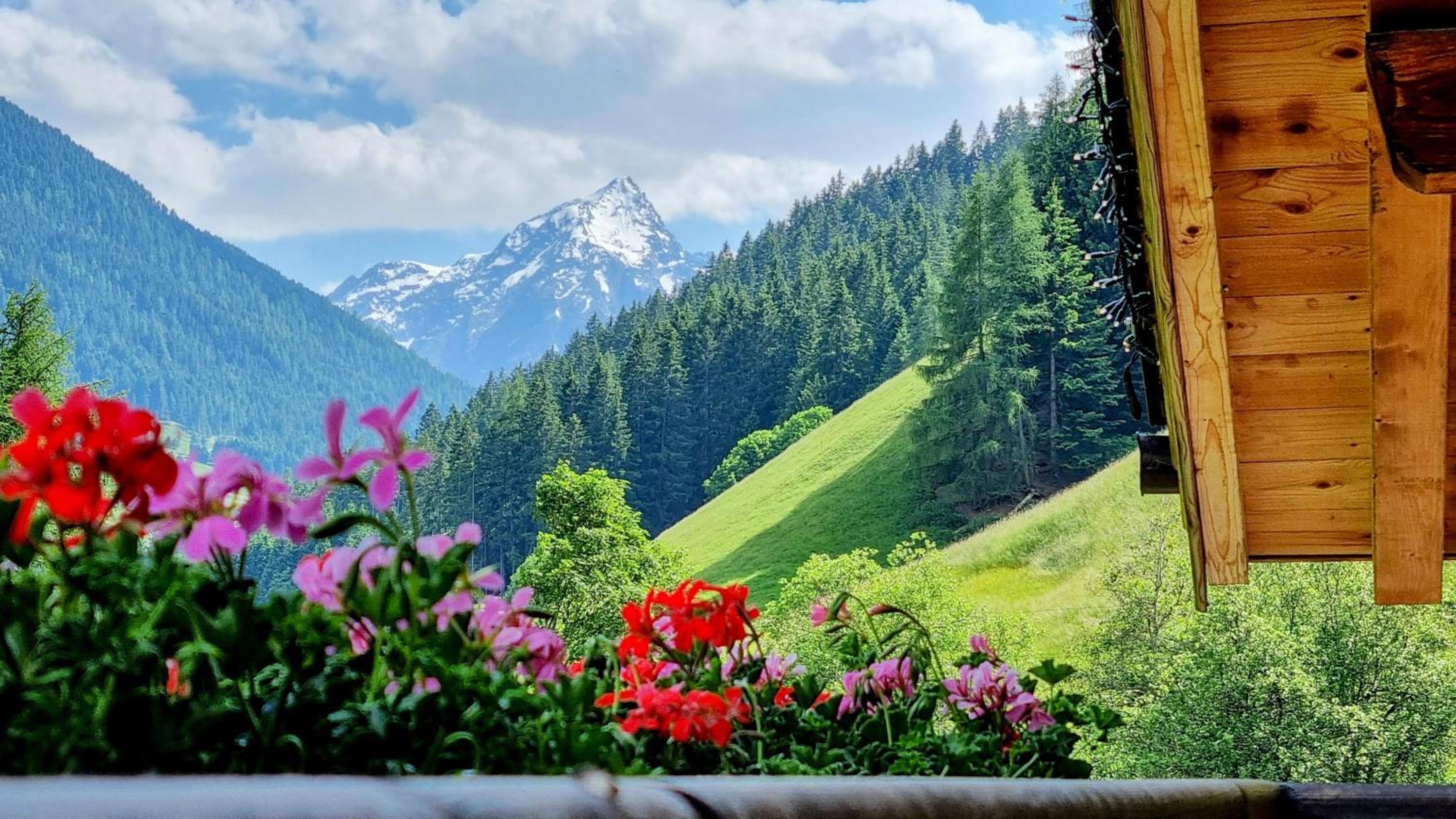 Gästehaus Landhaus Tyrol