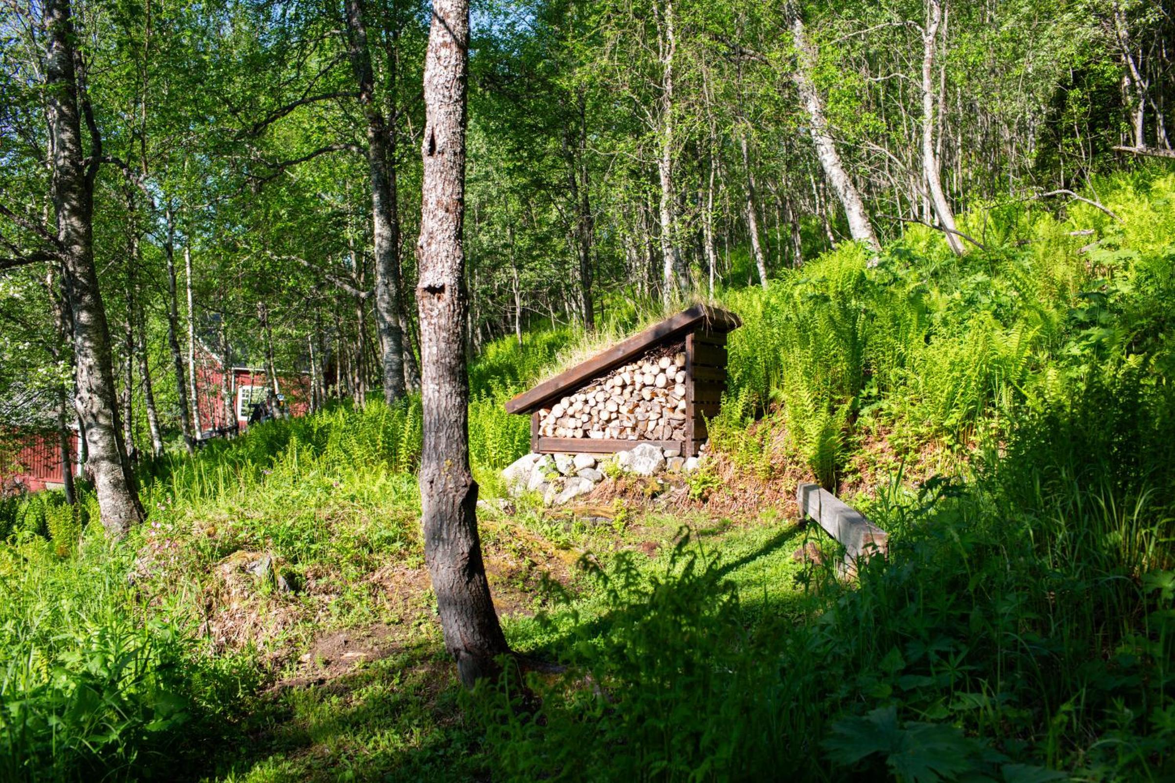 Photo 32