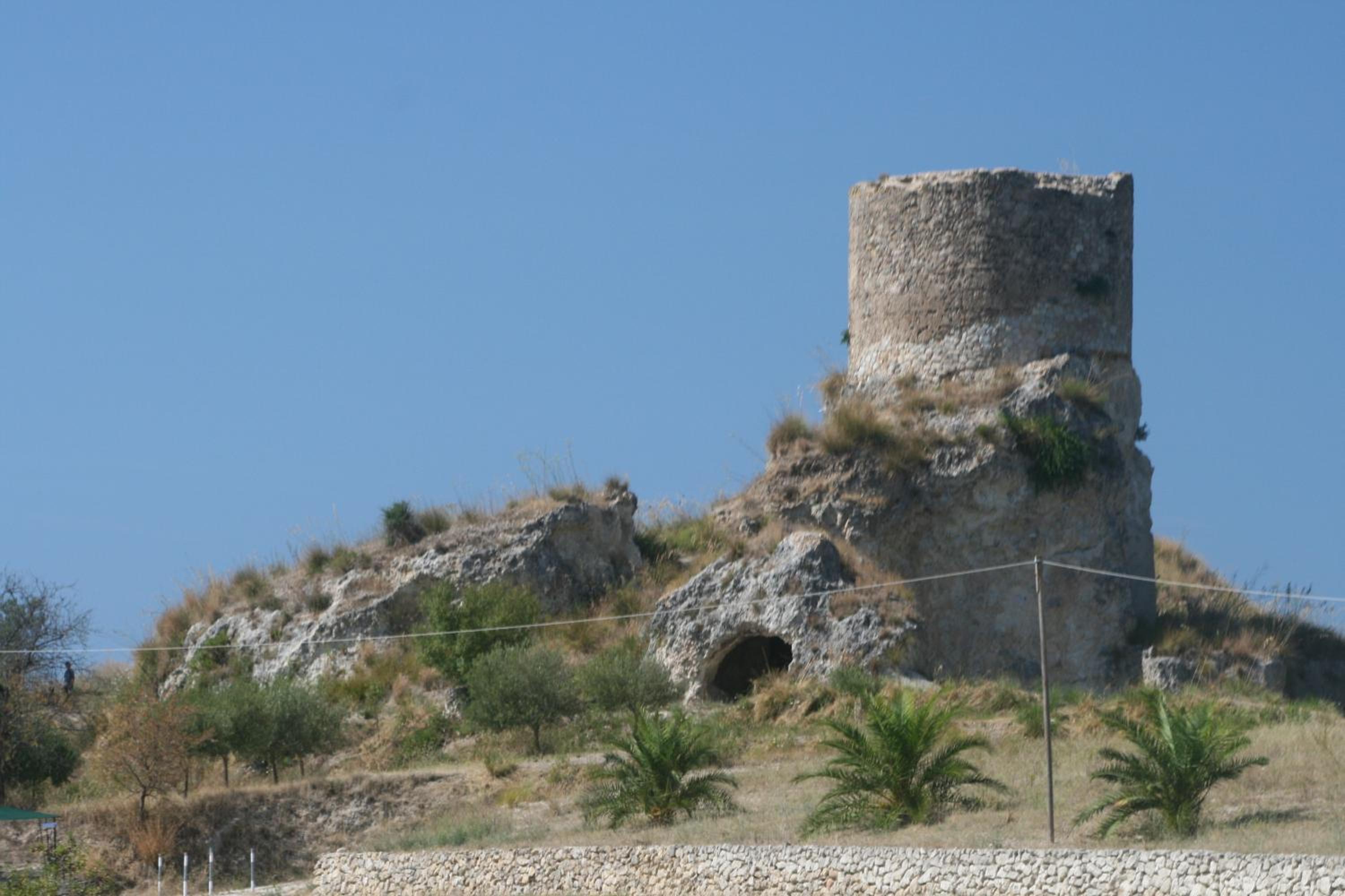 Photo 46