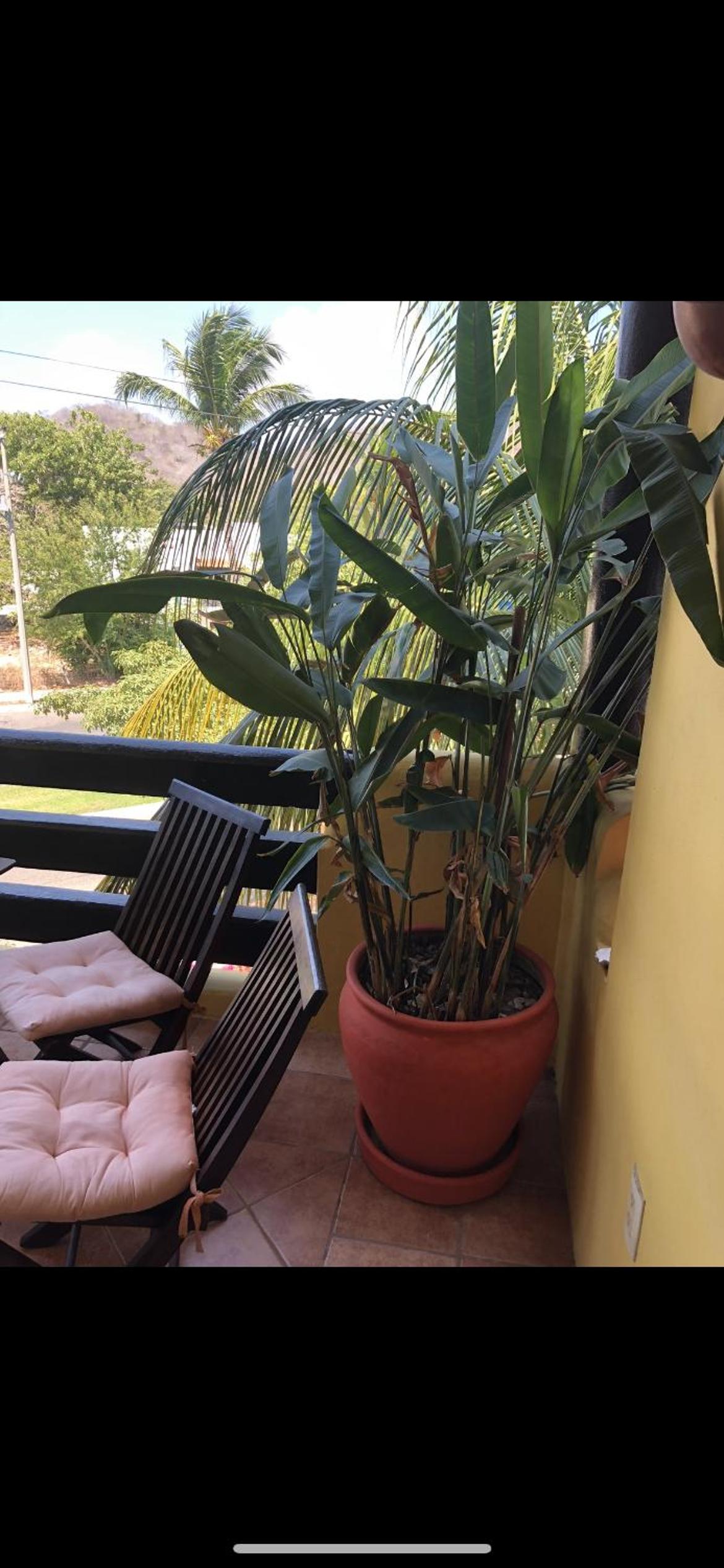 Hacienda Real Santa Cruz Huatulco - Property Image 10