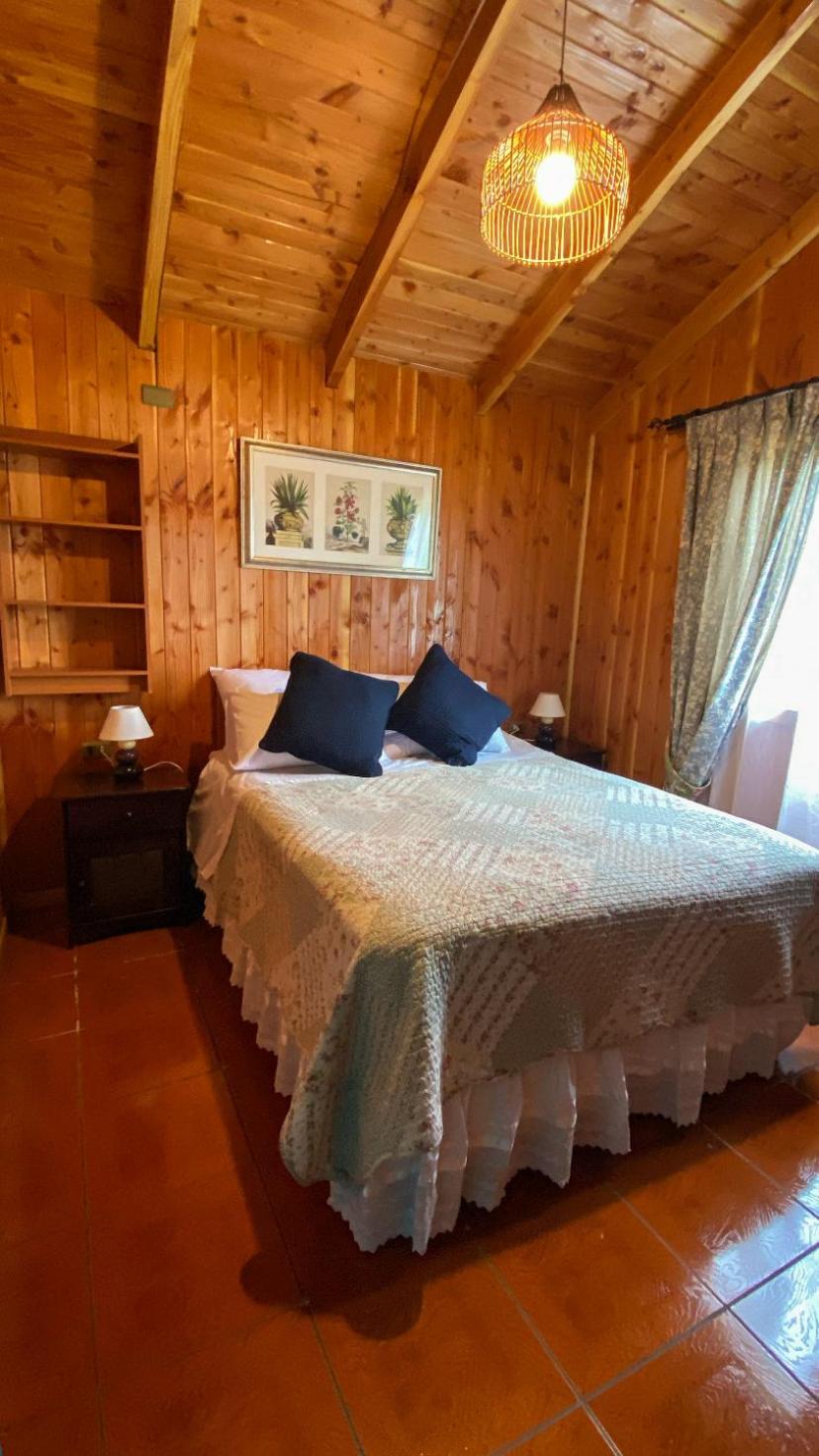 Casa lican Ray vista al lago