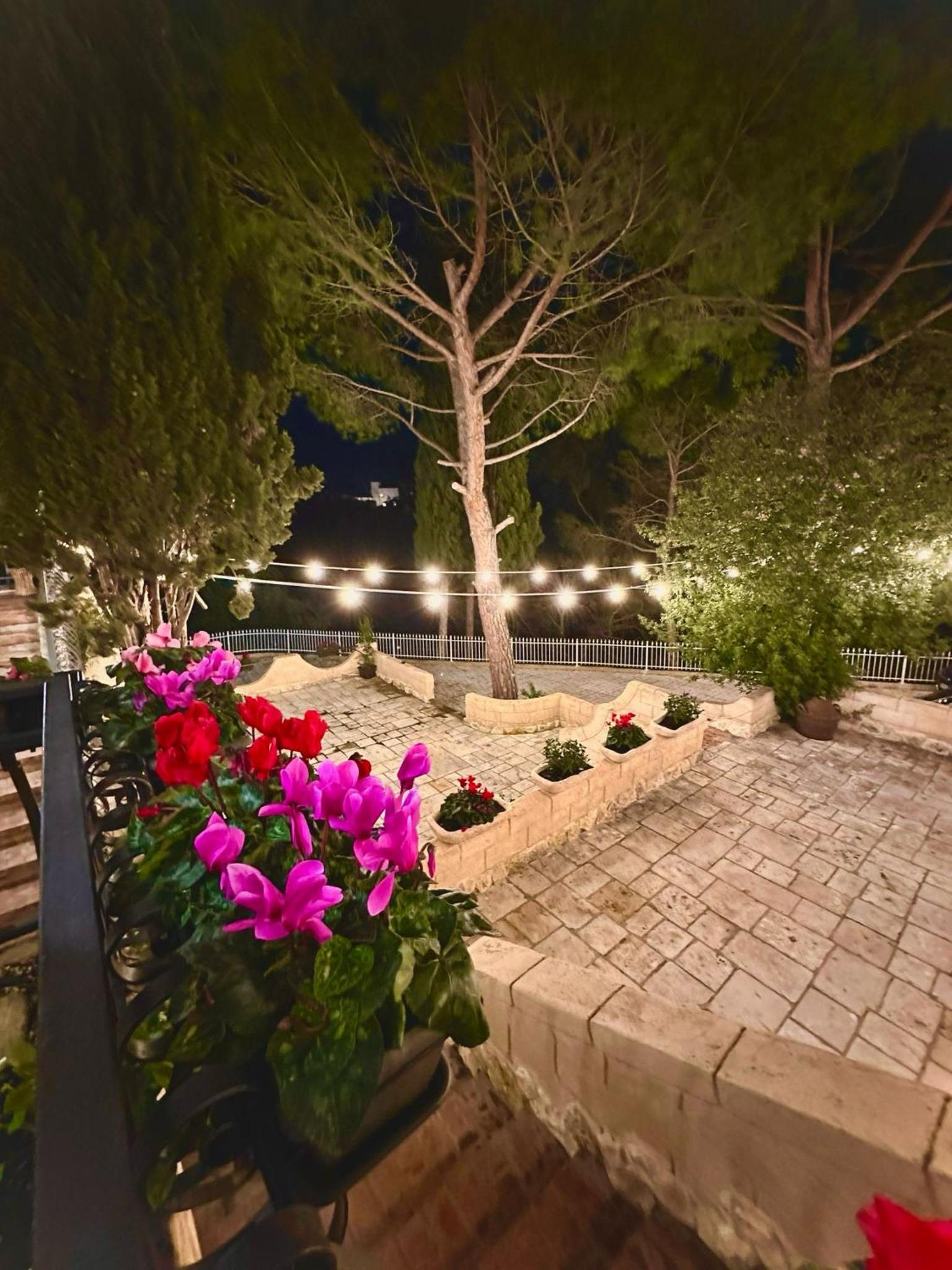 Lamapulia