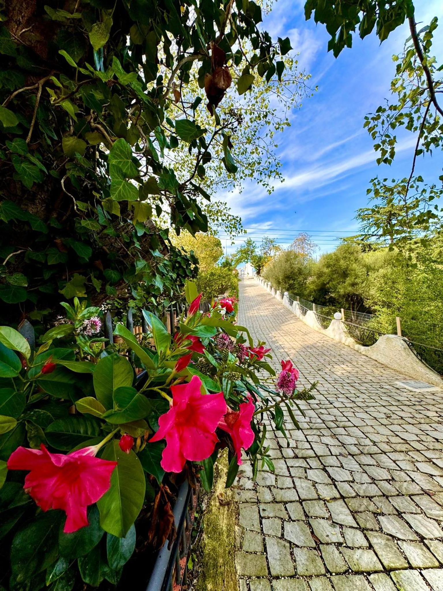 Lamapulia