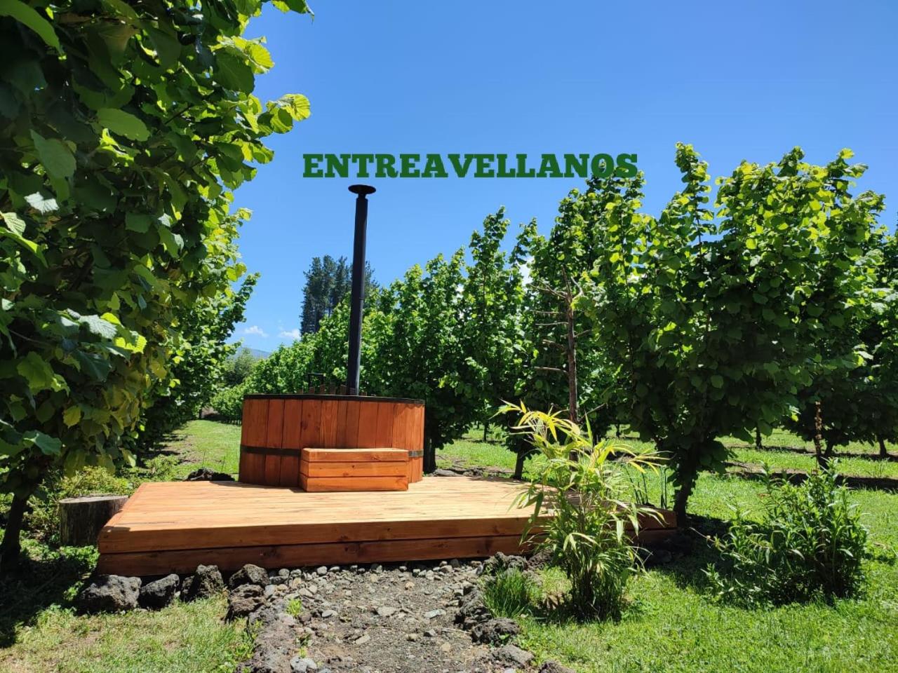 Entreavellanos cabañas