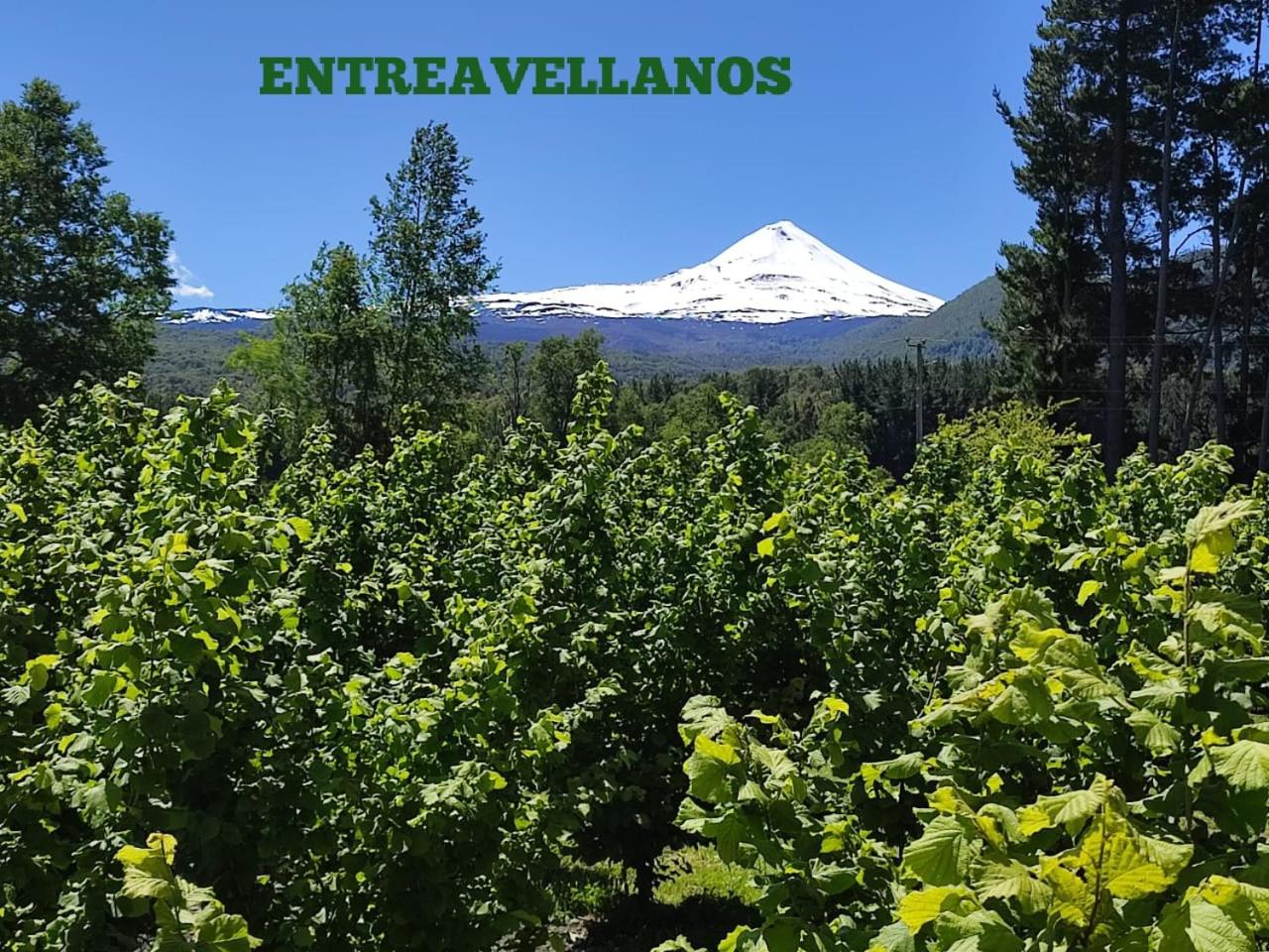 Entreavellanos cabañas