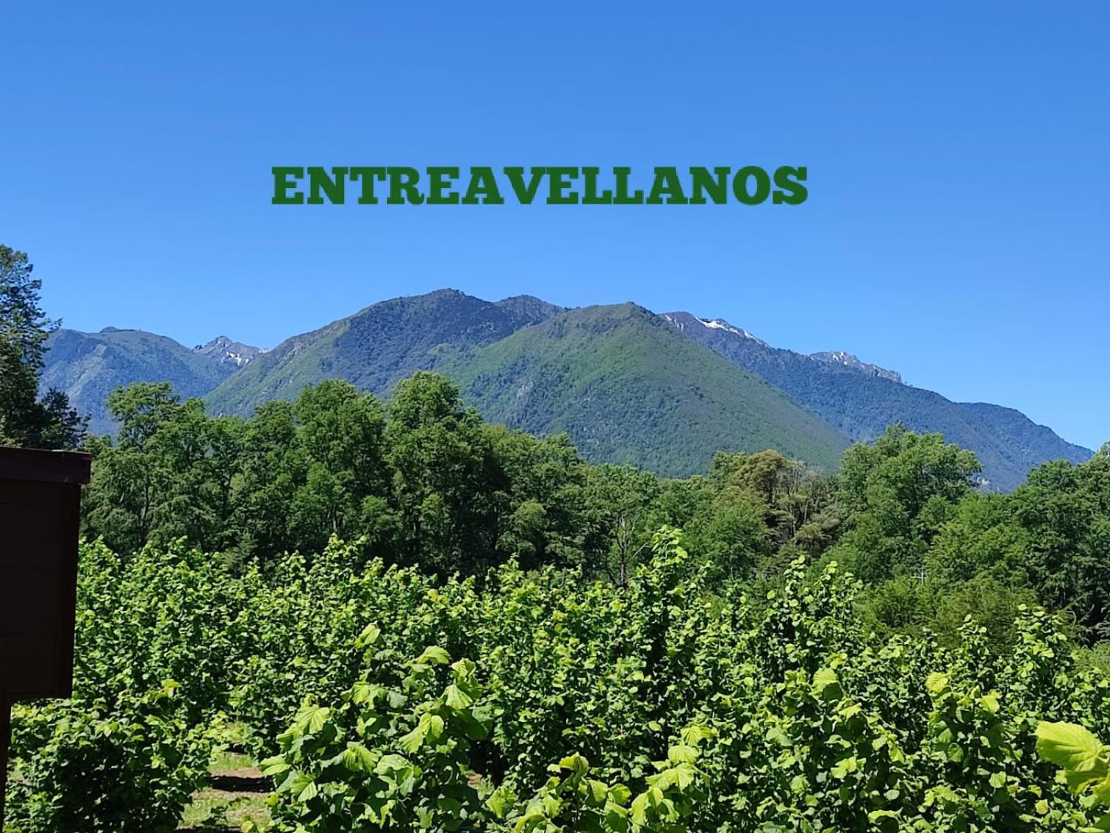Entreavellanos cabañas