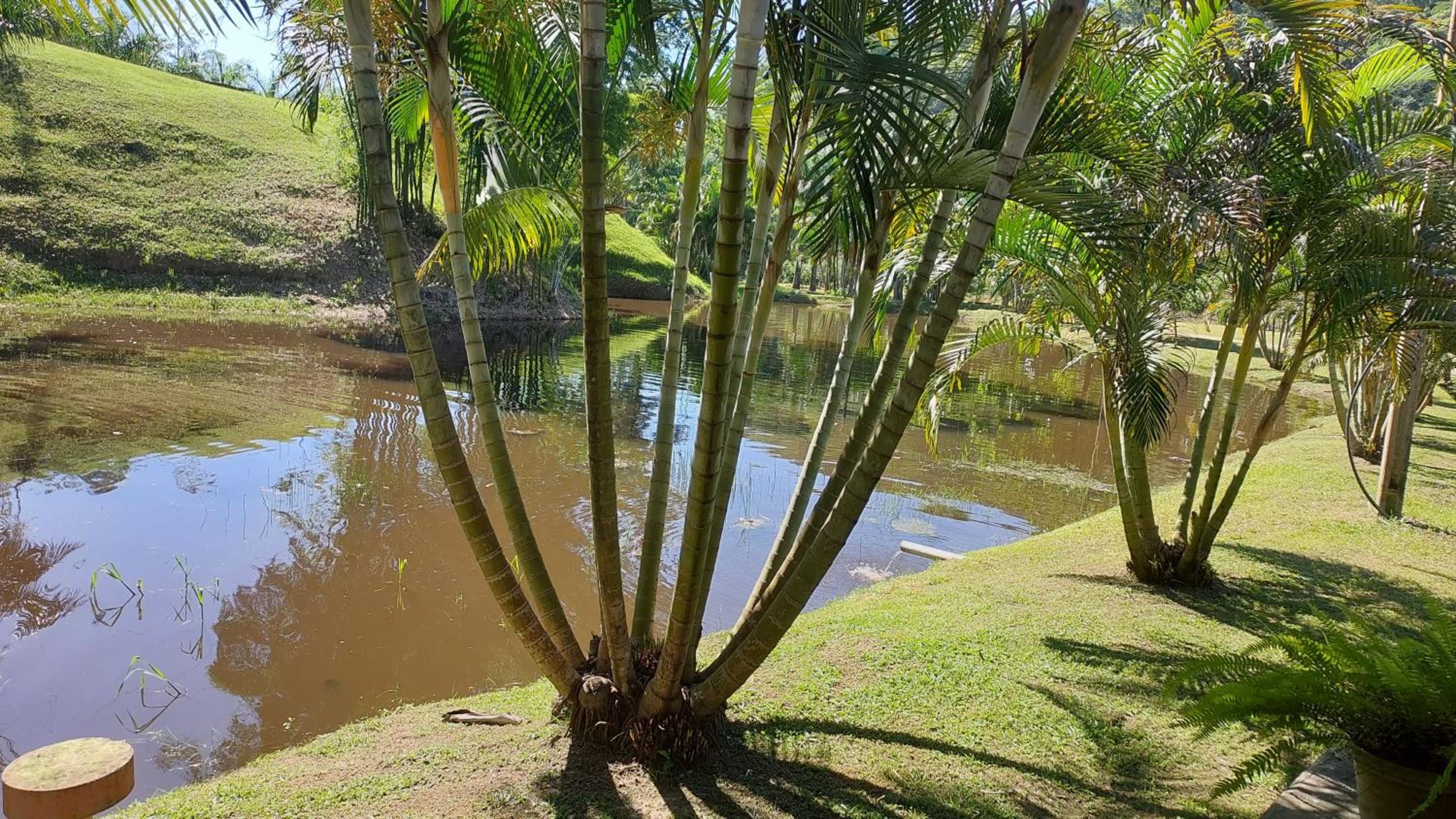 Pousada Fazenda Vale Verde