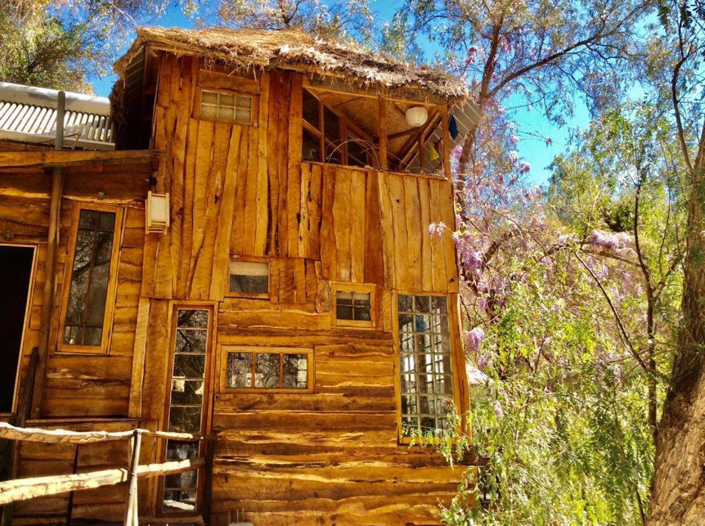 La Casa entre los Árboles en el Valle de Elqui Montegrande