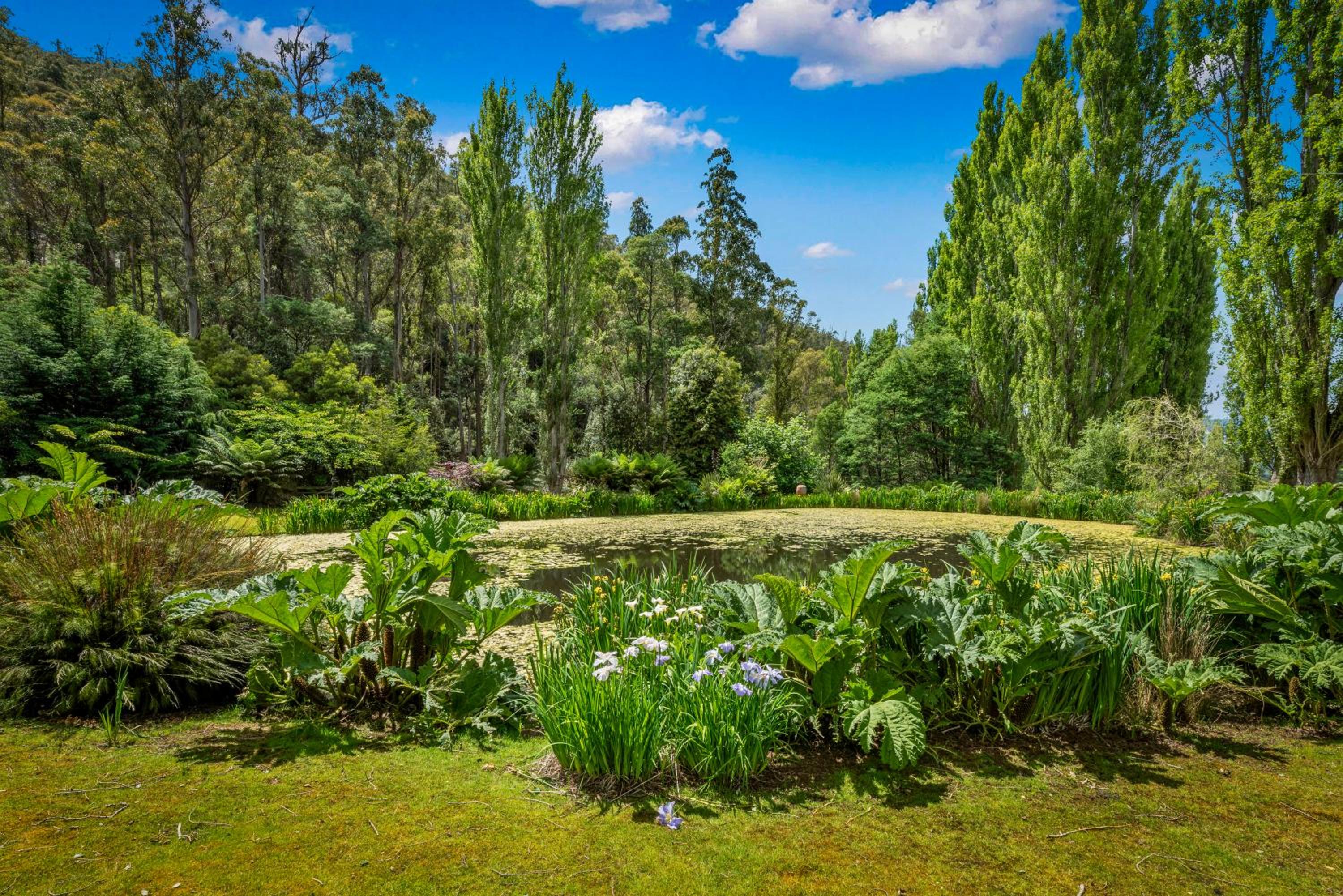 Magical Lucindale - Gorgeous 4 Bedroom House