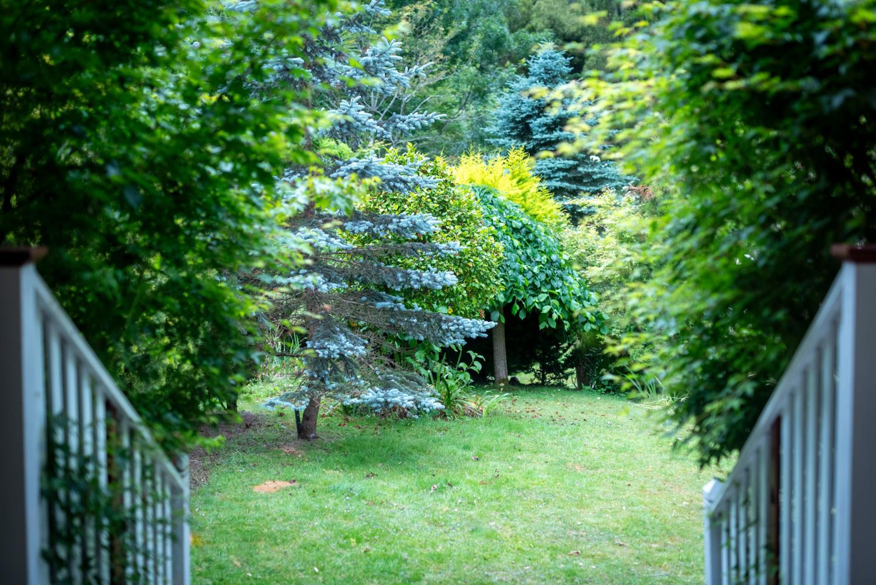 Magical Lucindale - Gorgeous 4 Bedroom House