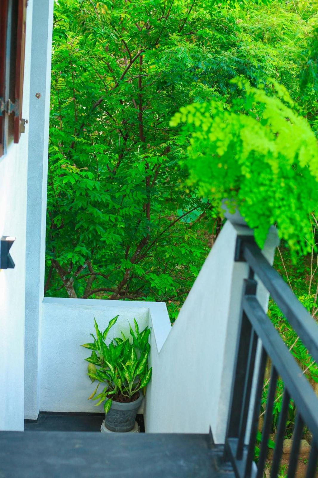 Charming dark lodge in river view 5