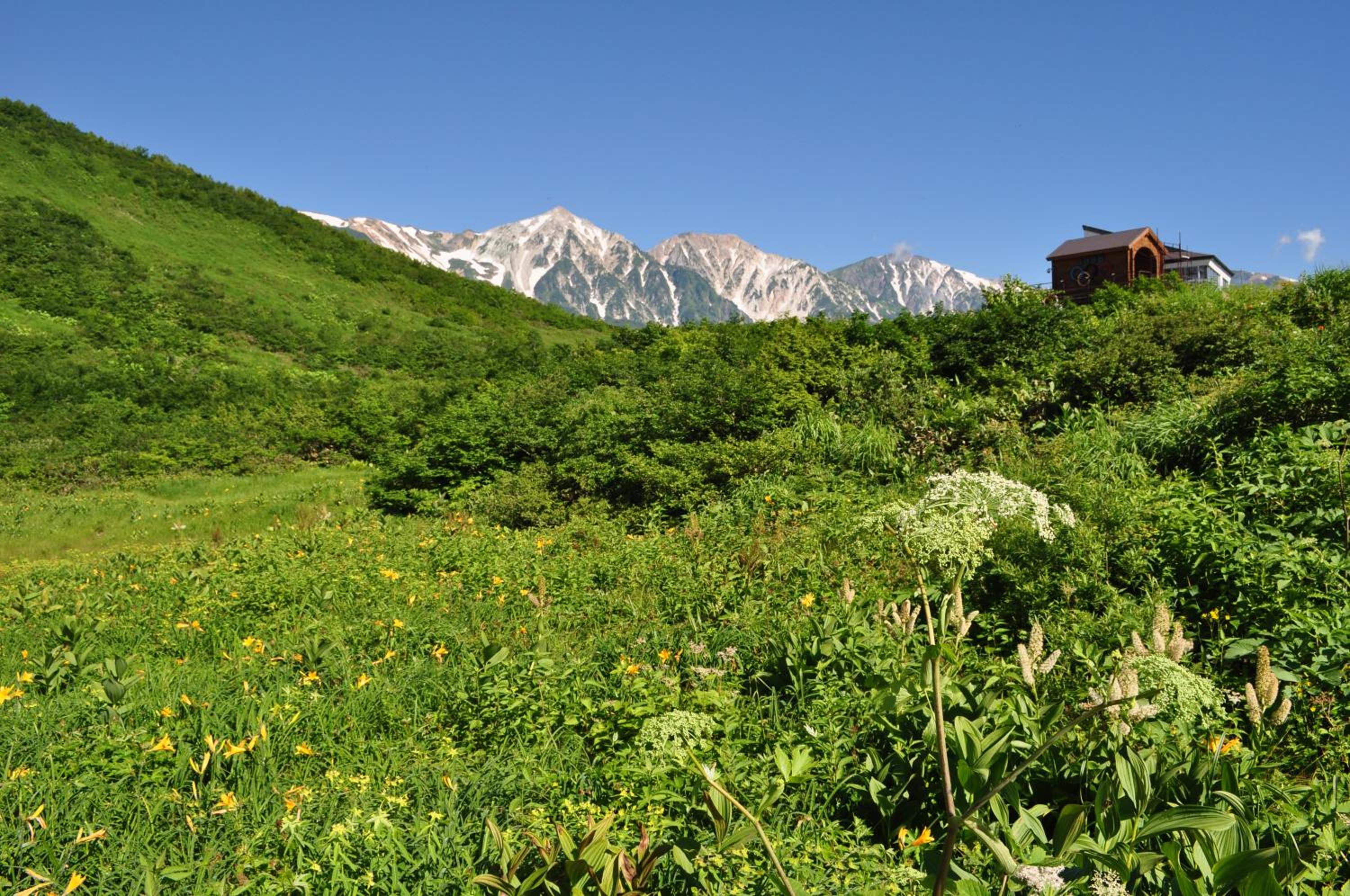 Gram Cottage Hakuba