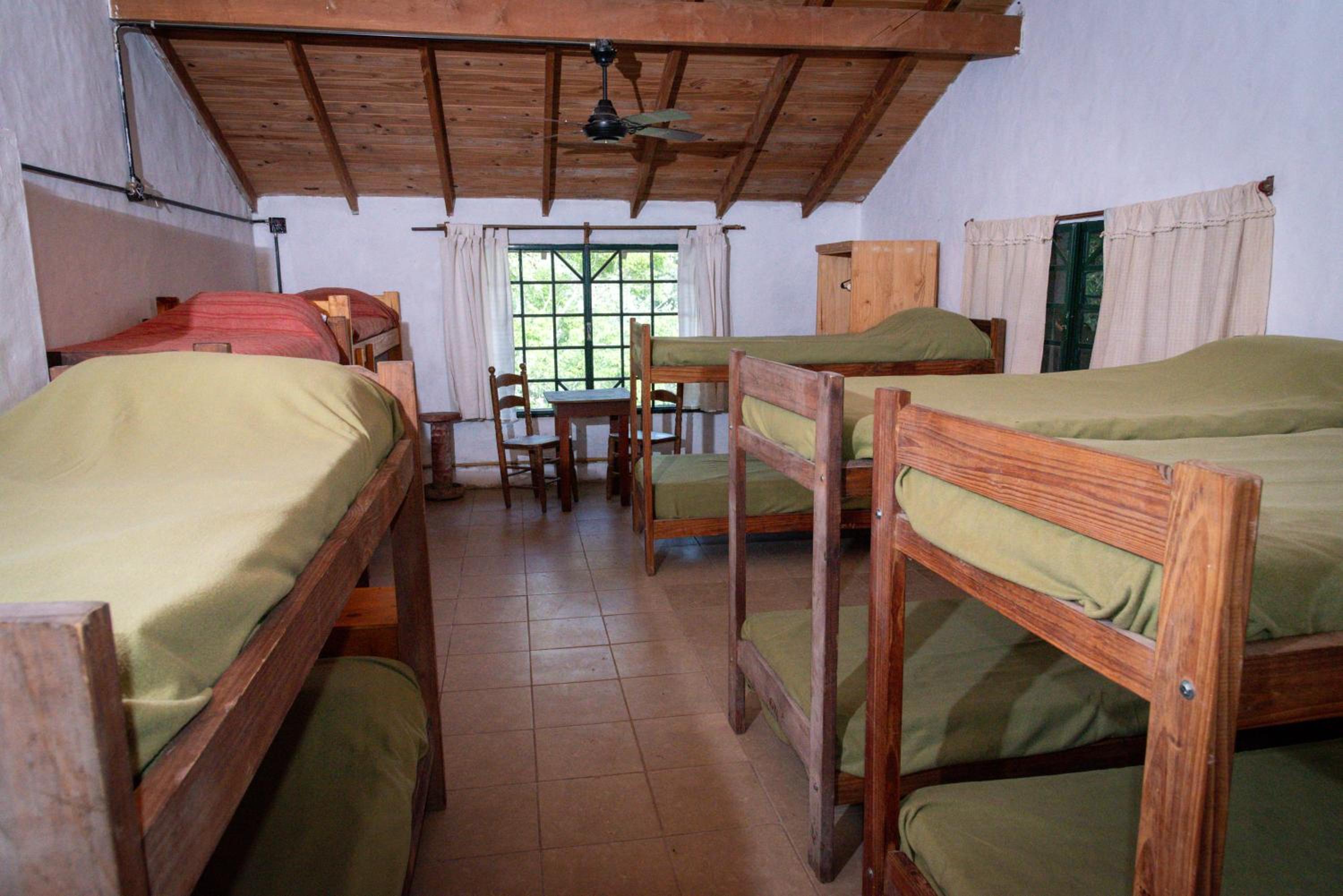 La María Paloma