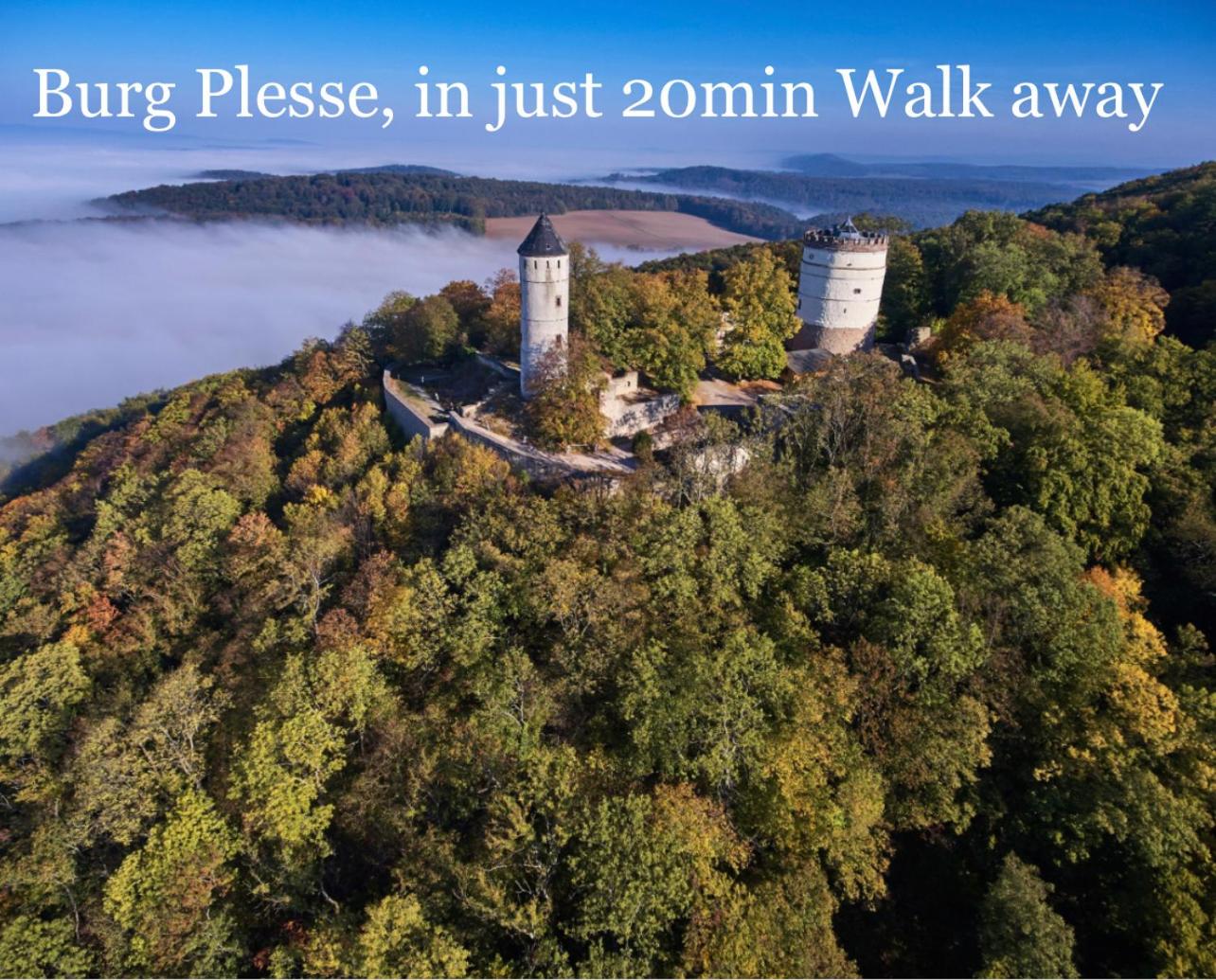 Villa Plesse - exklusiv und geräumig wohnen nahe Göttingen