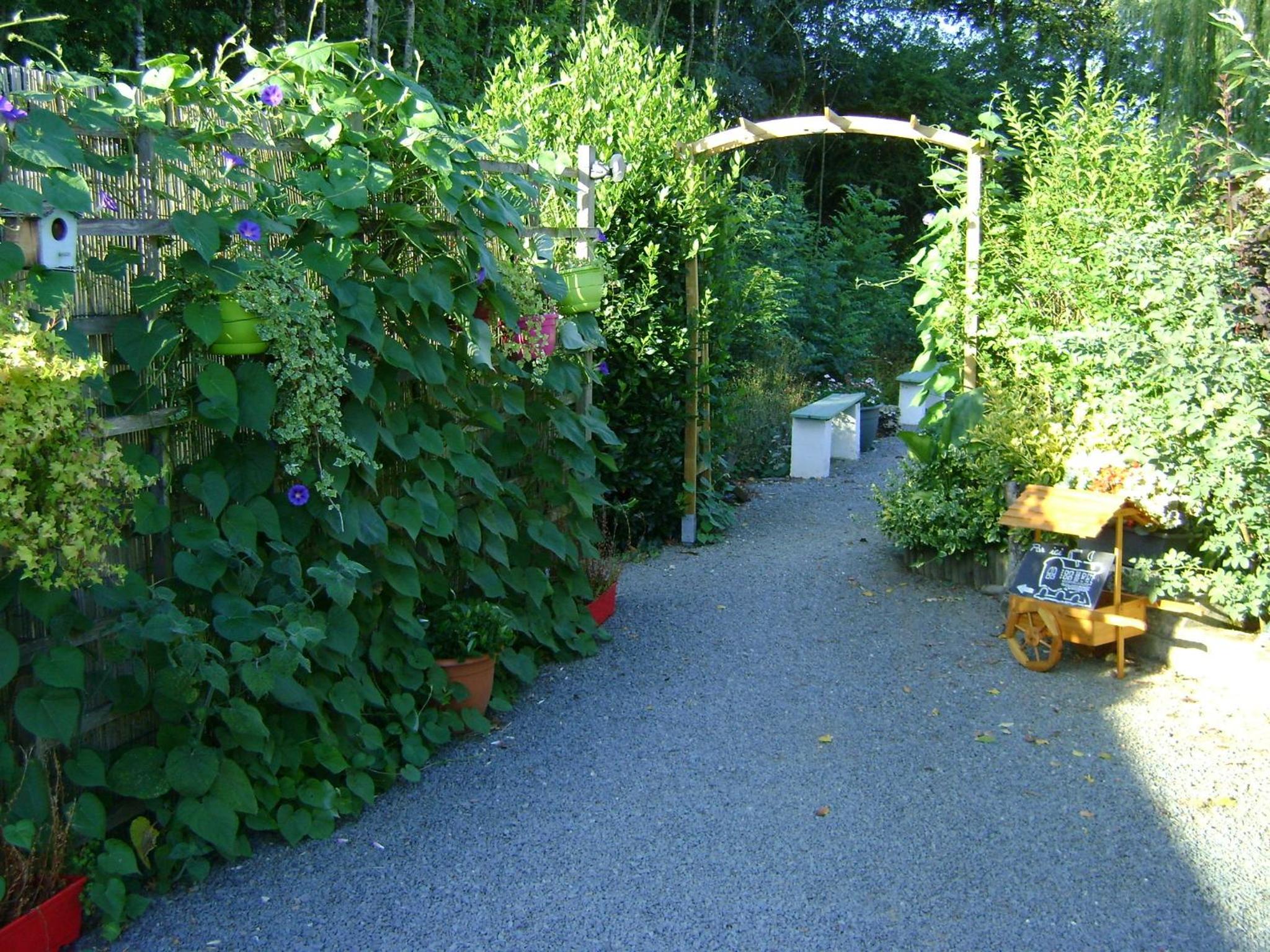 Photo 21