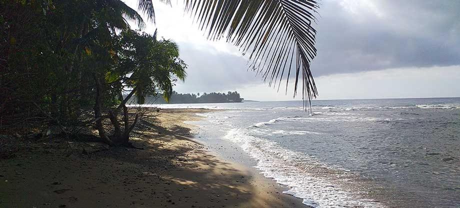Bogani-Cottages