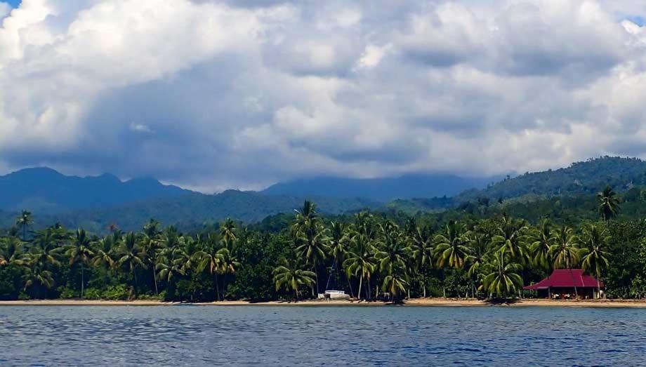 Bogani-Cottages