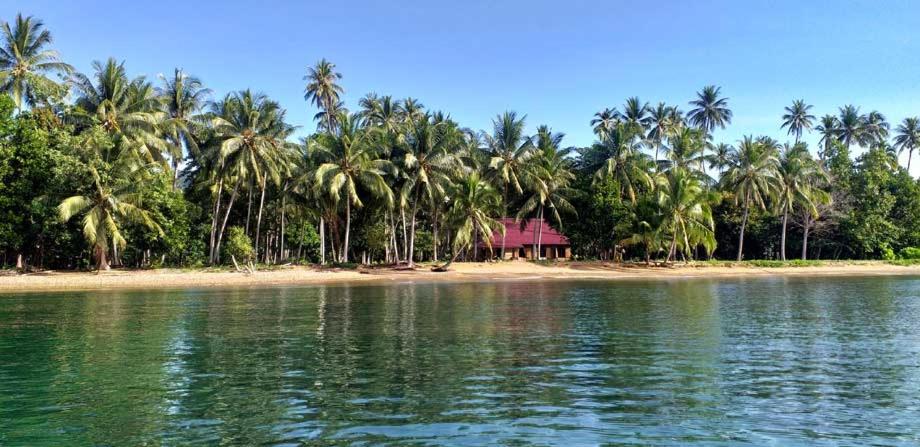 Bogani-Cottages