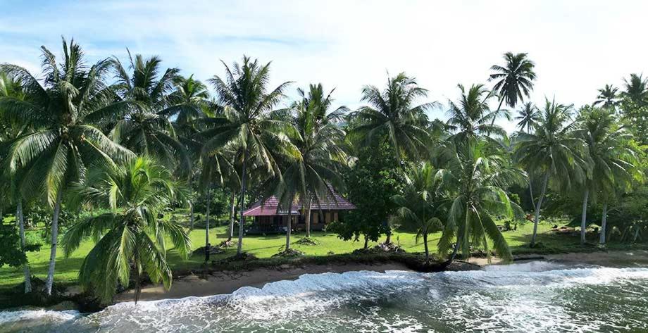 Bogani-Cottages