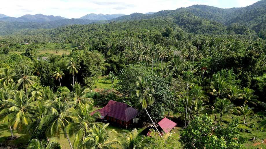 Bogani-Cottages