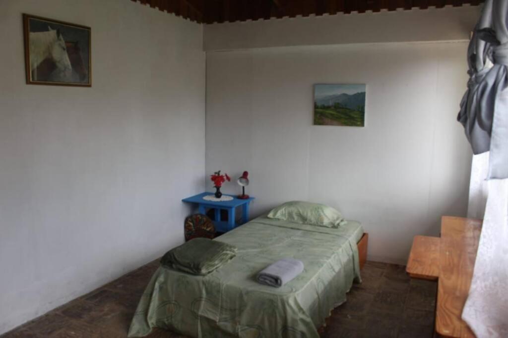 Casa Luka