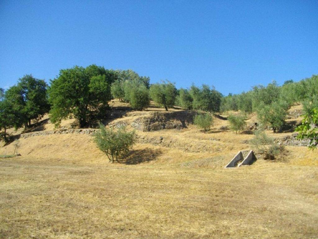 Agriturismo Terrarossa