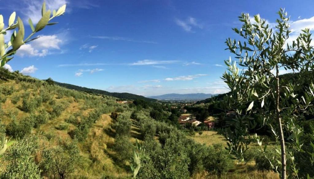 Agriturismo Terrarossa