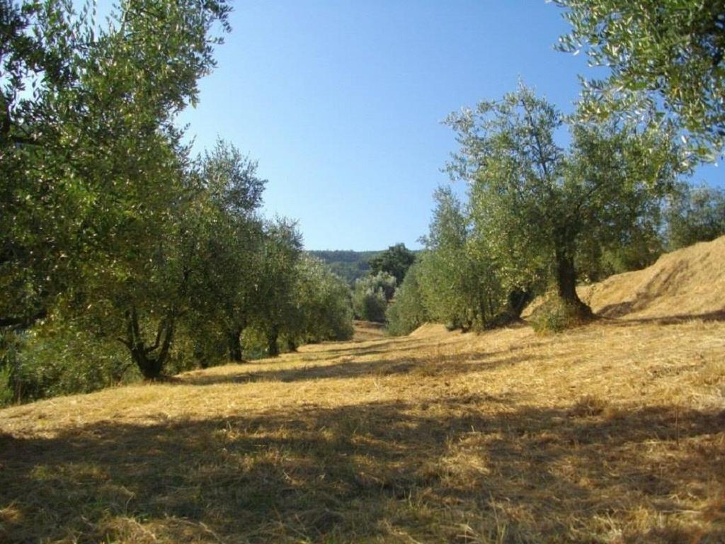 Agriturismo Terrarossa
