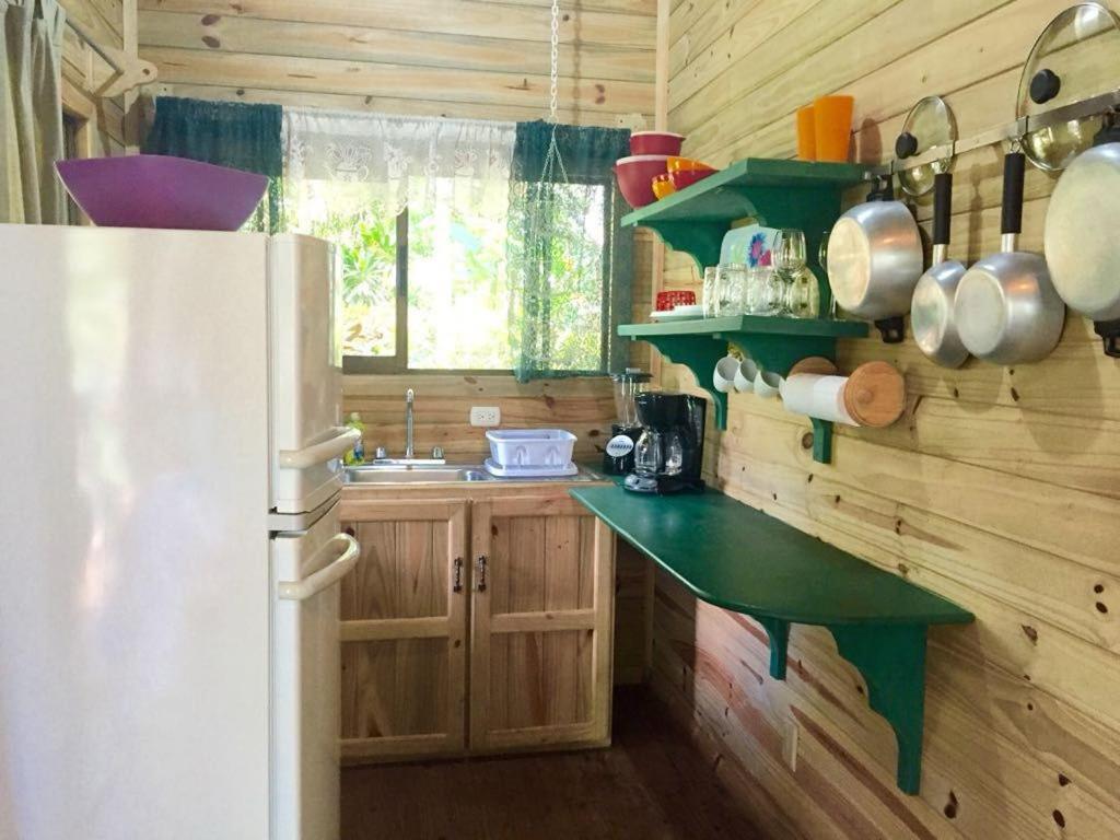 CASITAS GINGER