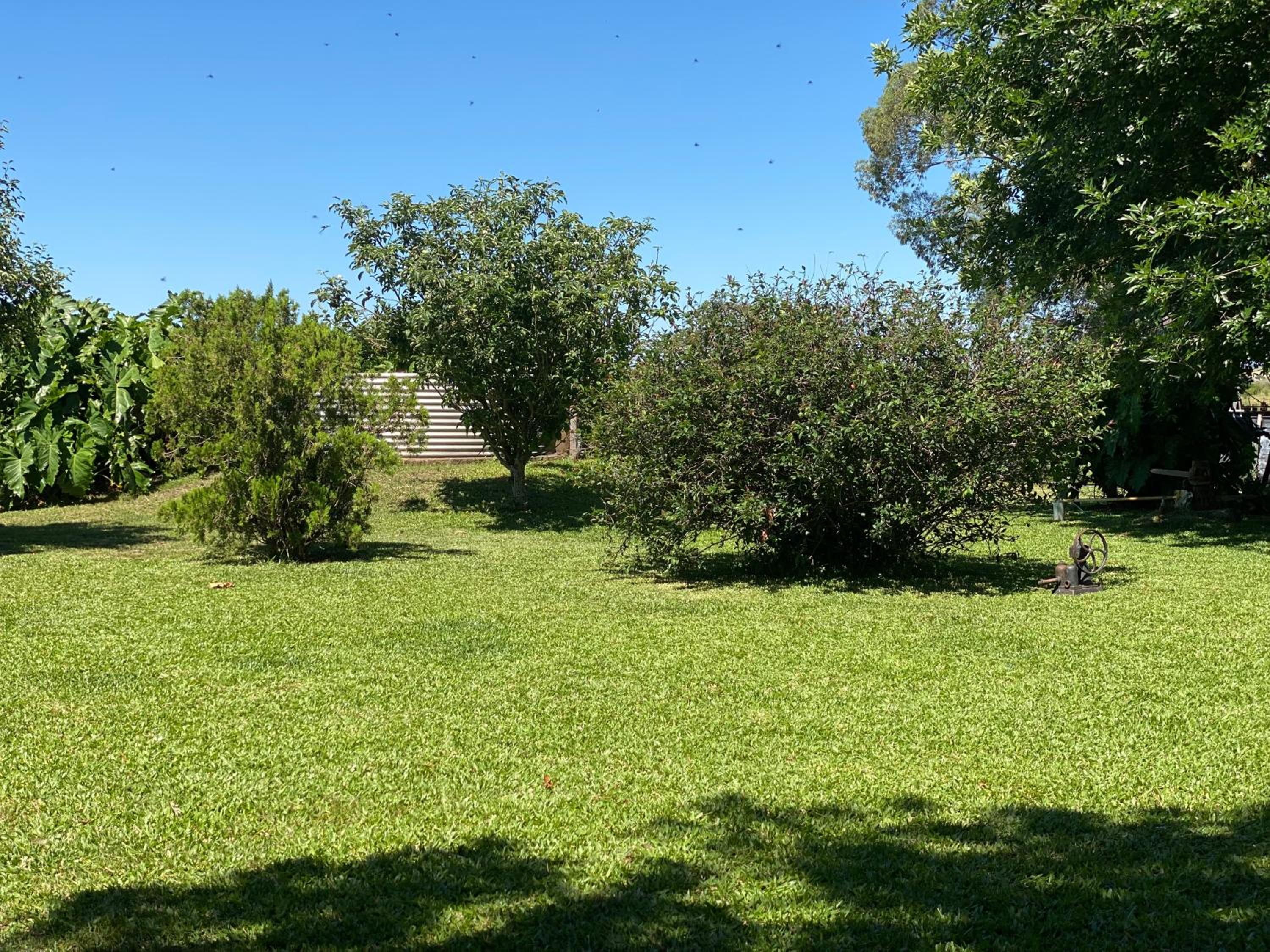Casa de Campo SAN JACINTO grupos GRANDES 17 p Promo Diciembre del 10 al 22 mínimo 5 noches Resérvala Ya !