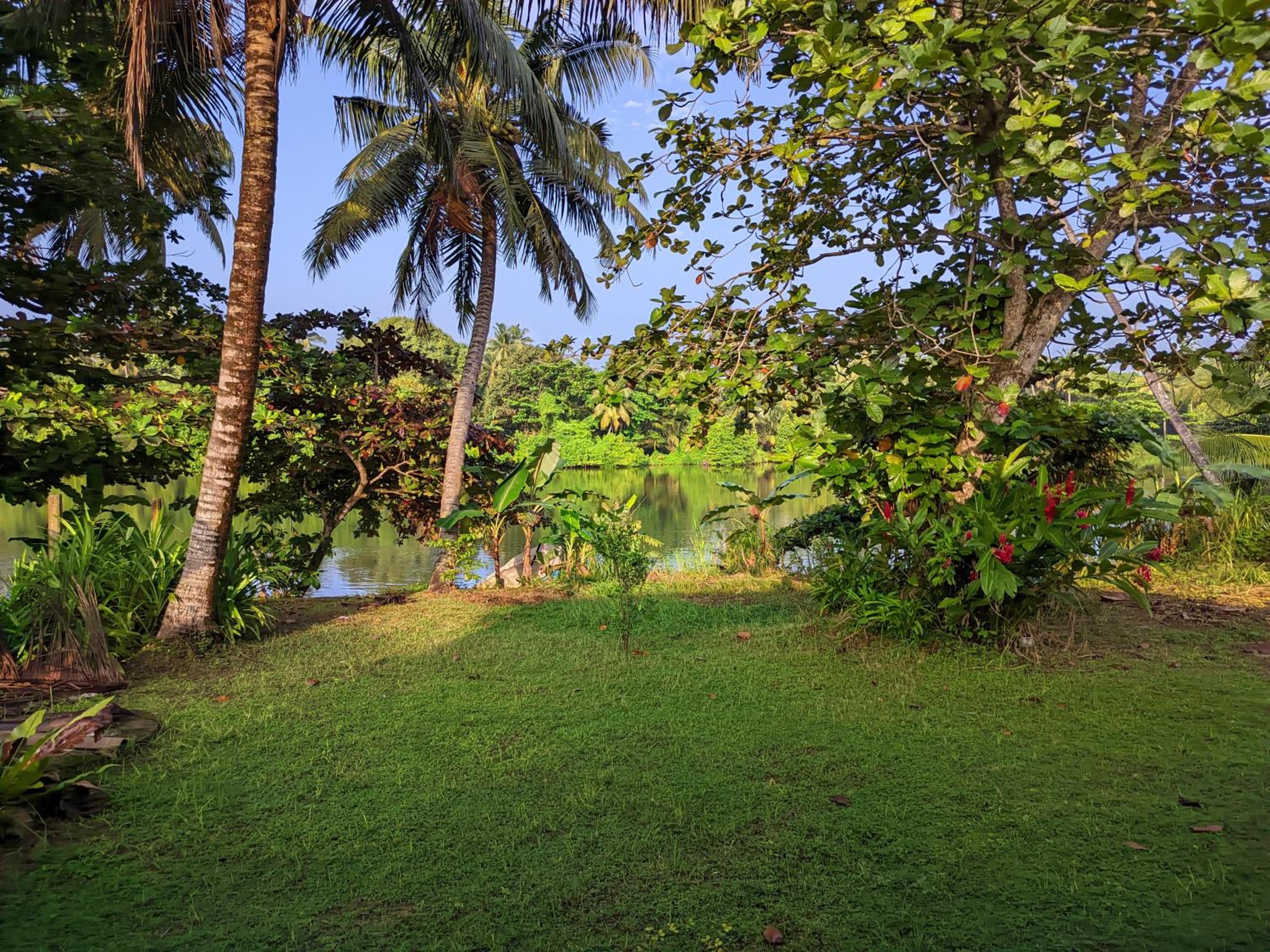 Photo 15