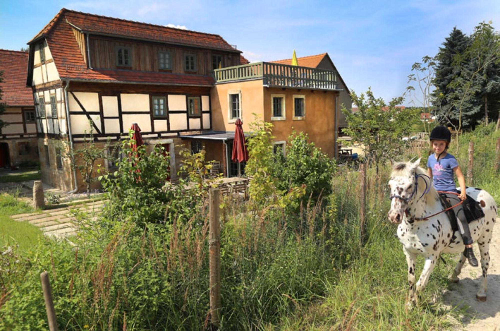 Ferienhaus Lindenhof Graupa