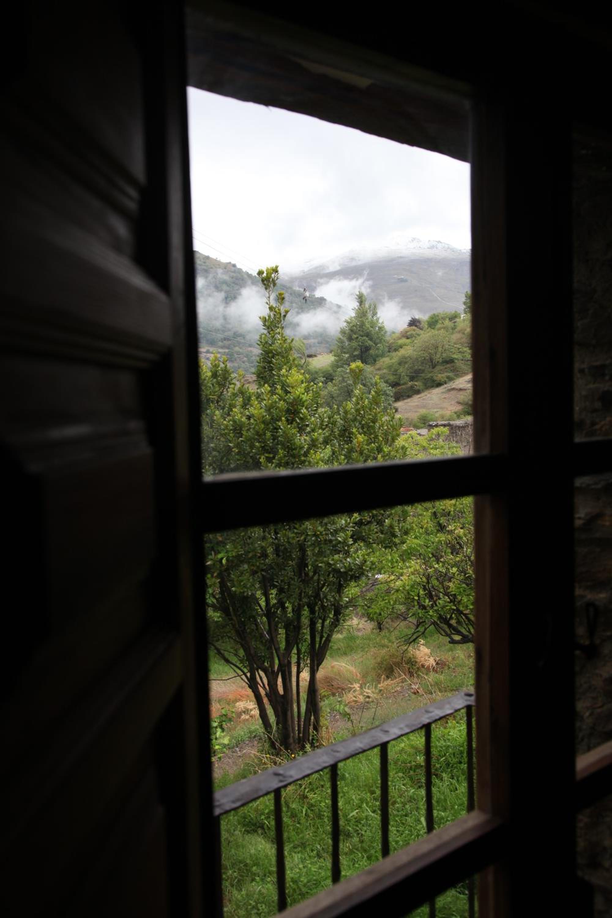 Photo 43
