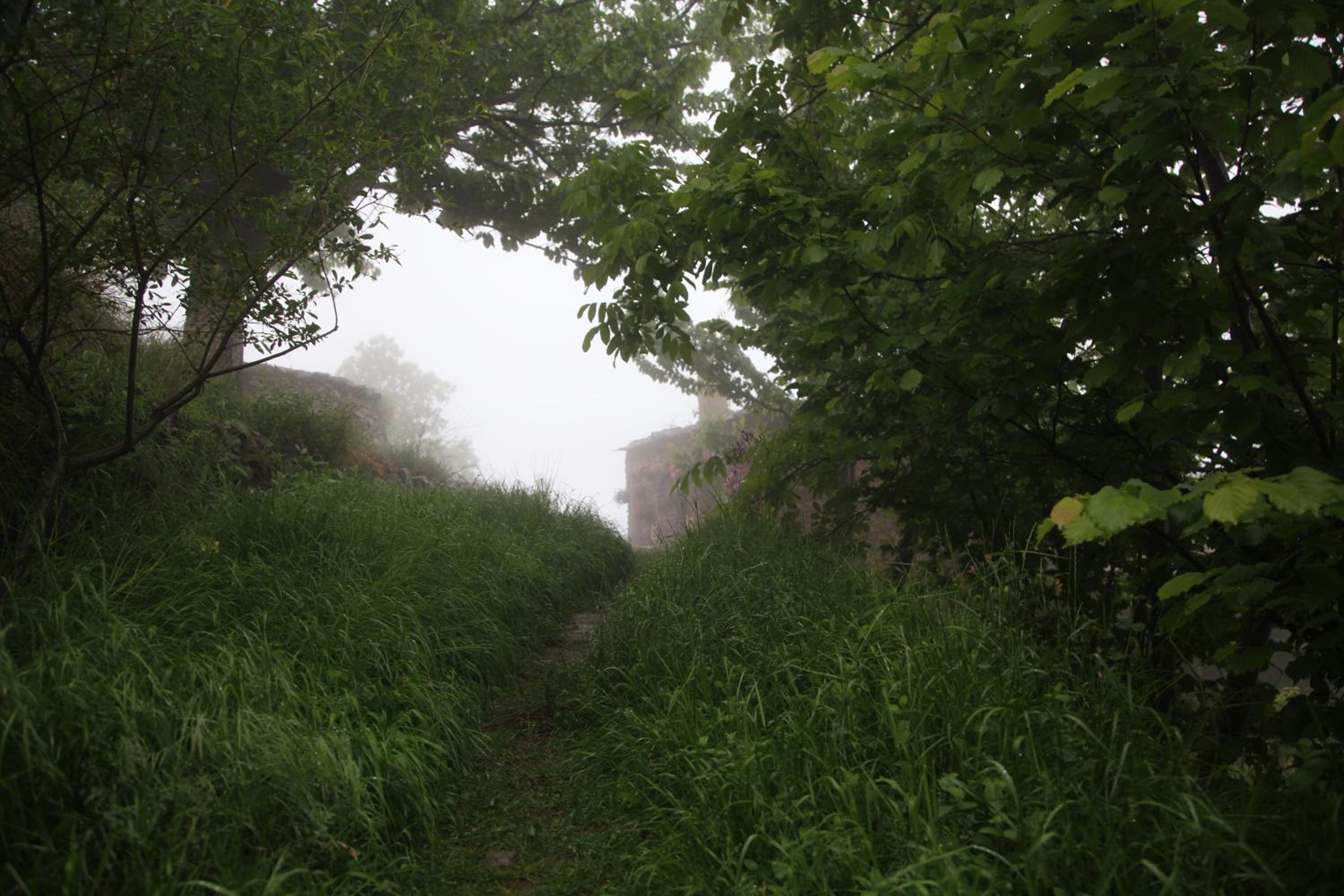 Photo 49