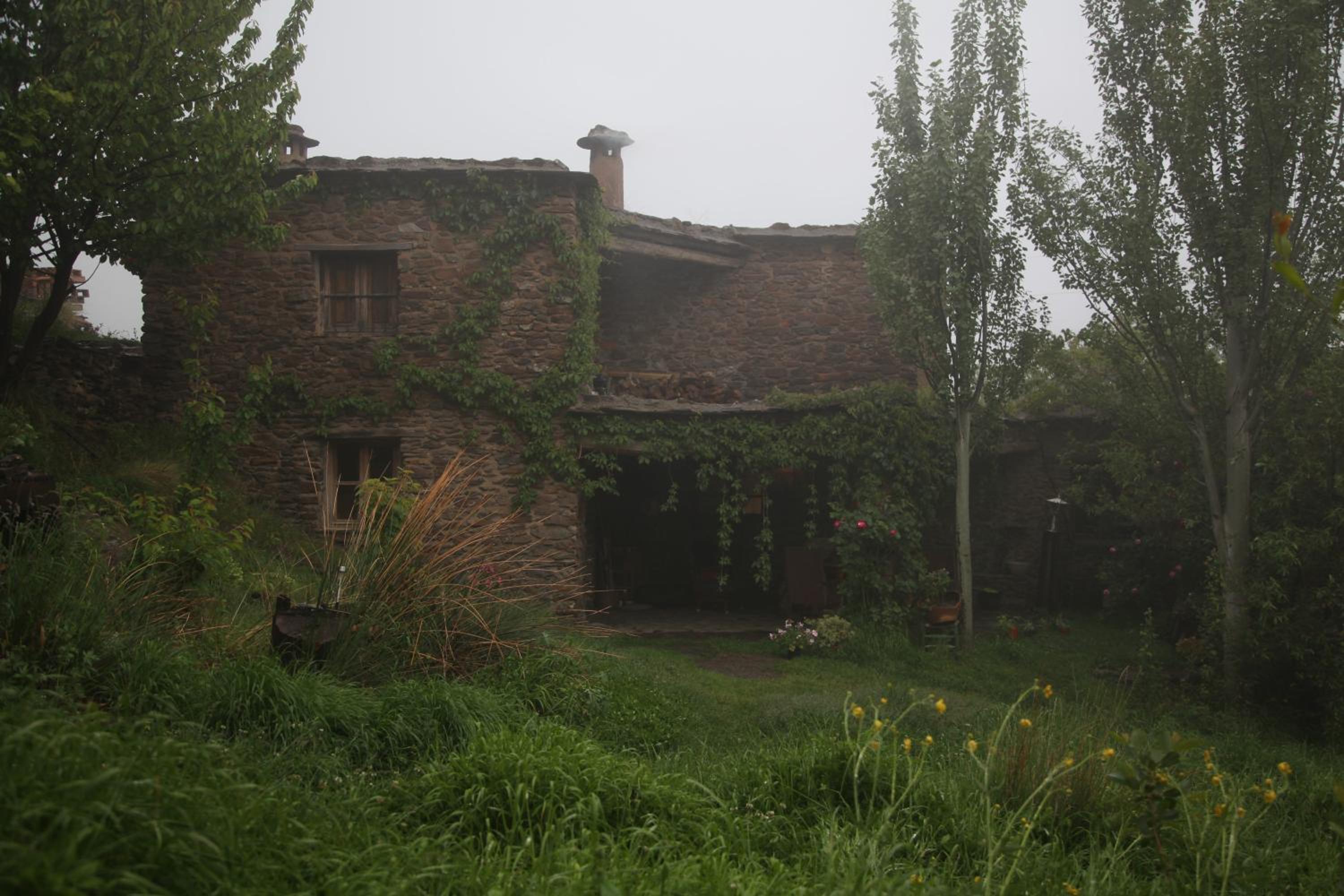 Photo 52